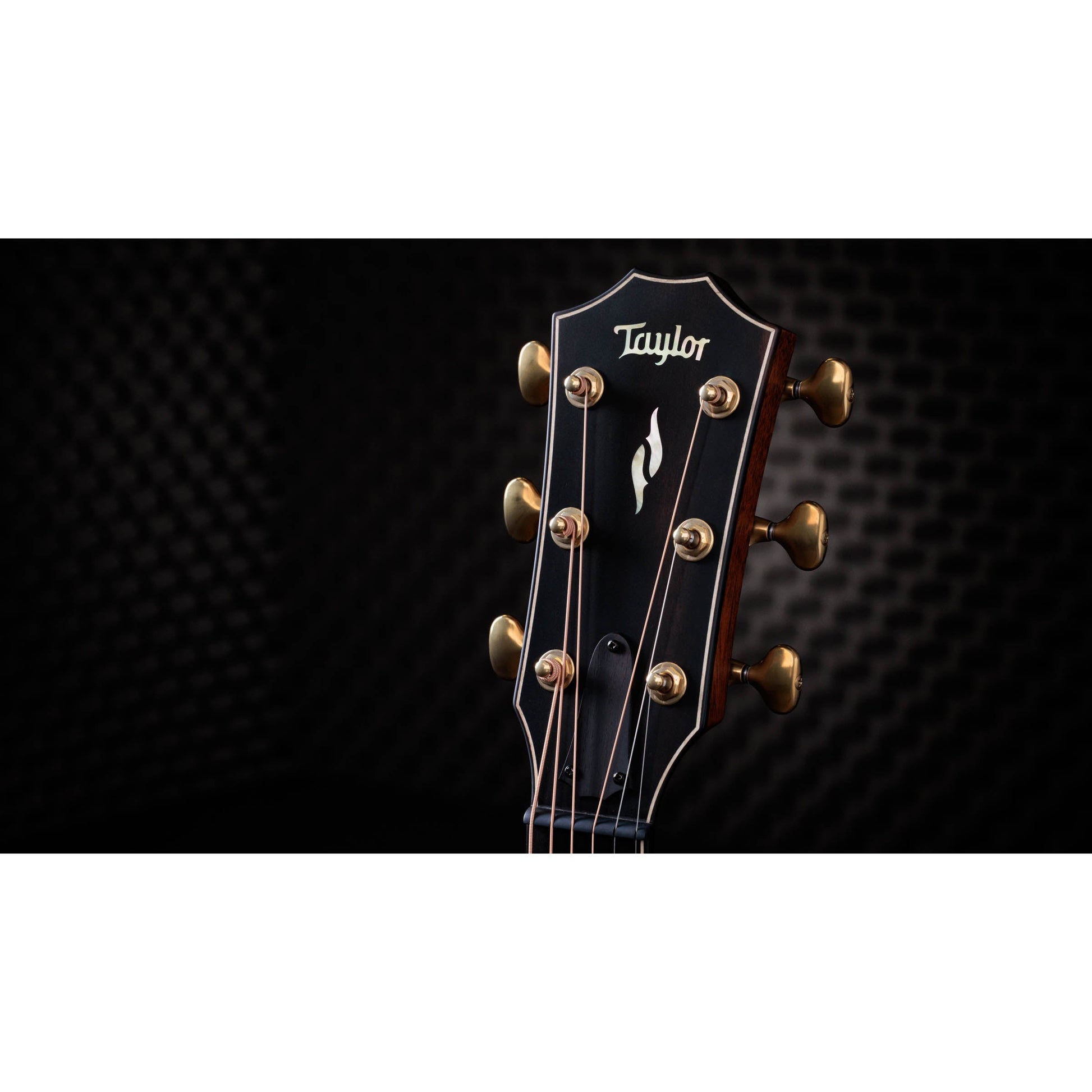 Đàn Guitar Acoustic Taylor 812CE Builder's Edition - 50th Anniversary - Việt Music