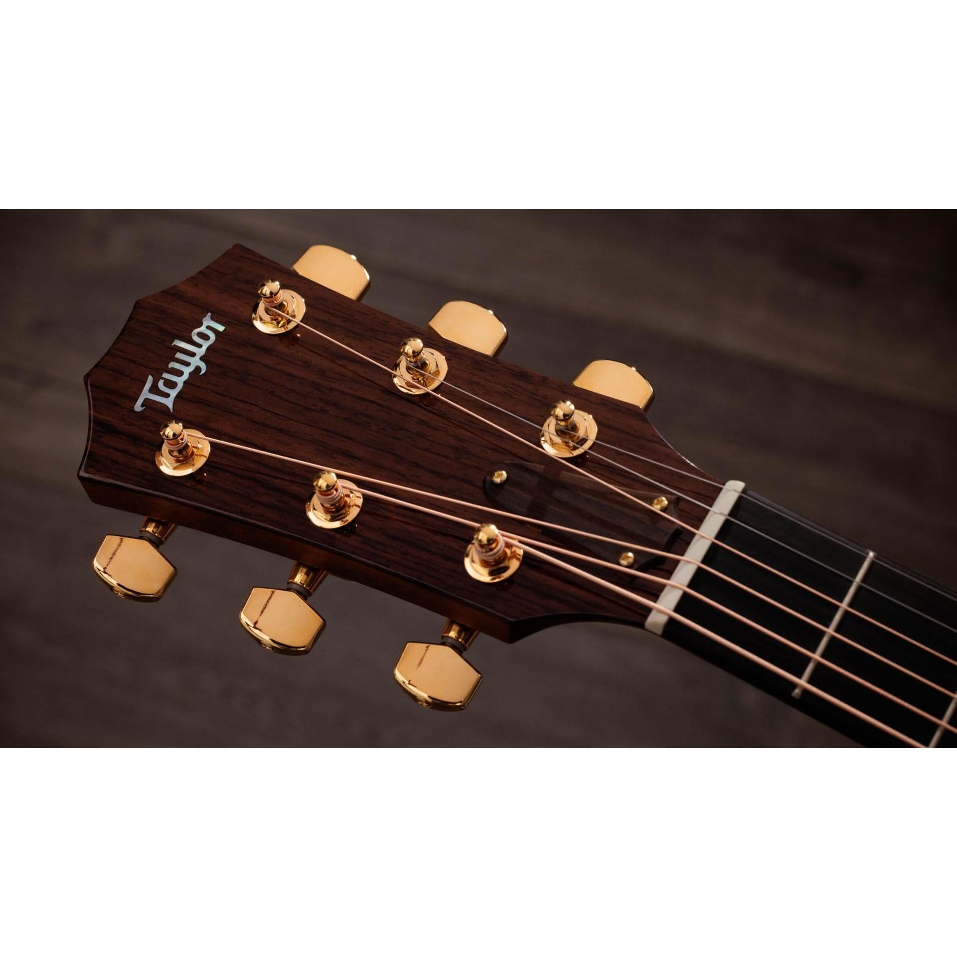 Đàn Guitar Taylor 514ce Legacy - Việt Music