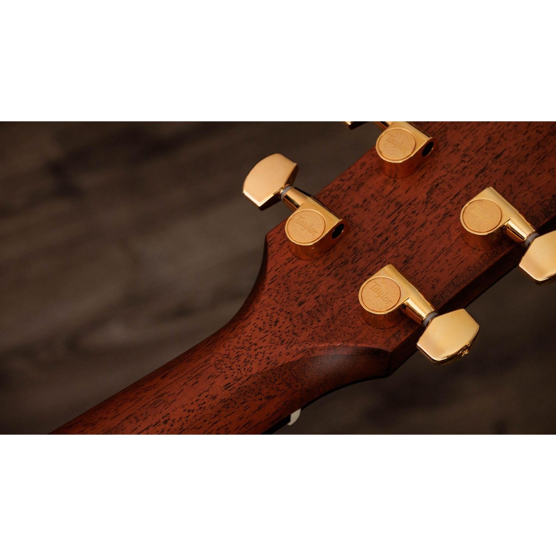 Đàn Guitar Taylor 514ce Legacy - Việt Music