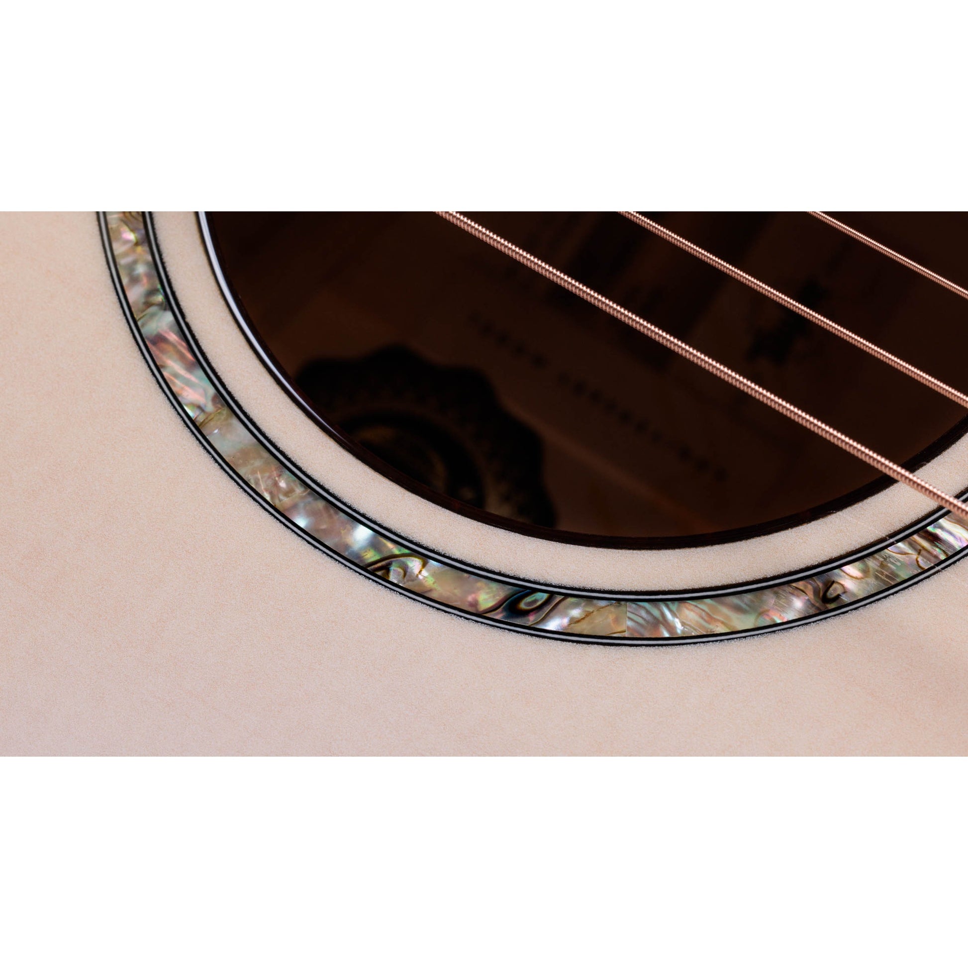 Đàn Guitar Classic Taylor 614CE LTD 50th Anniversary - Grand Auditorium - Việt Music