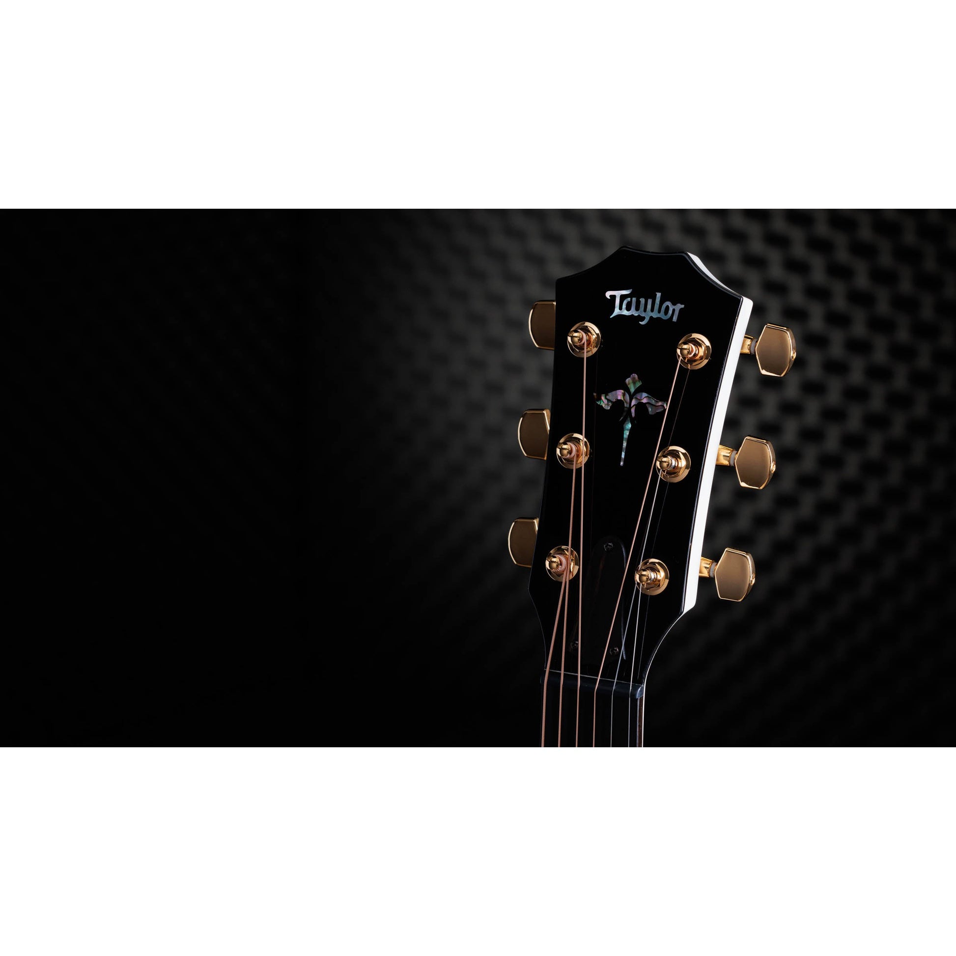 Đàn Guitar Classic Taylor 614CE LTD 50th Anniversary - Grand Auditorium - Việt Music