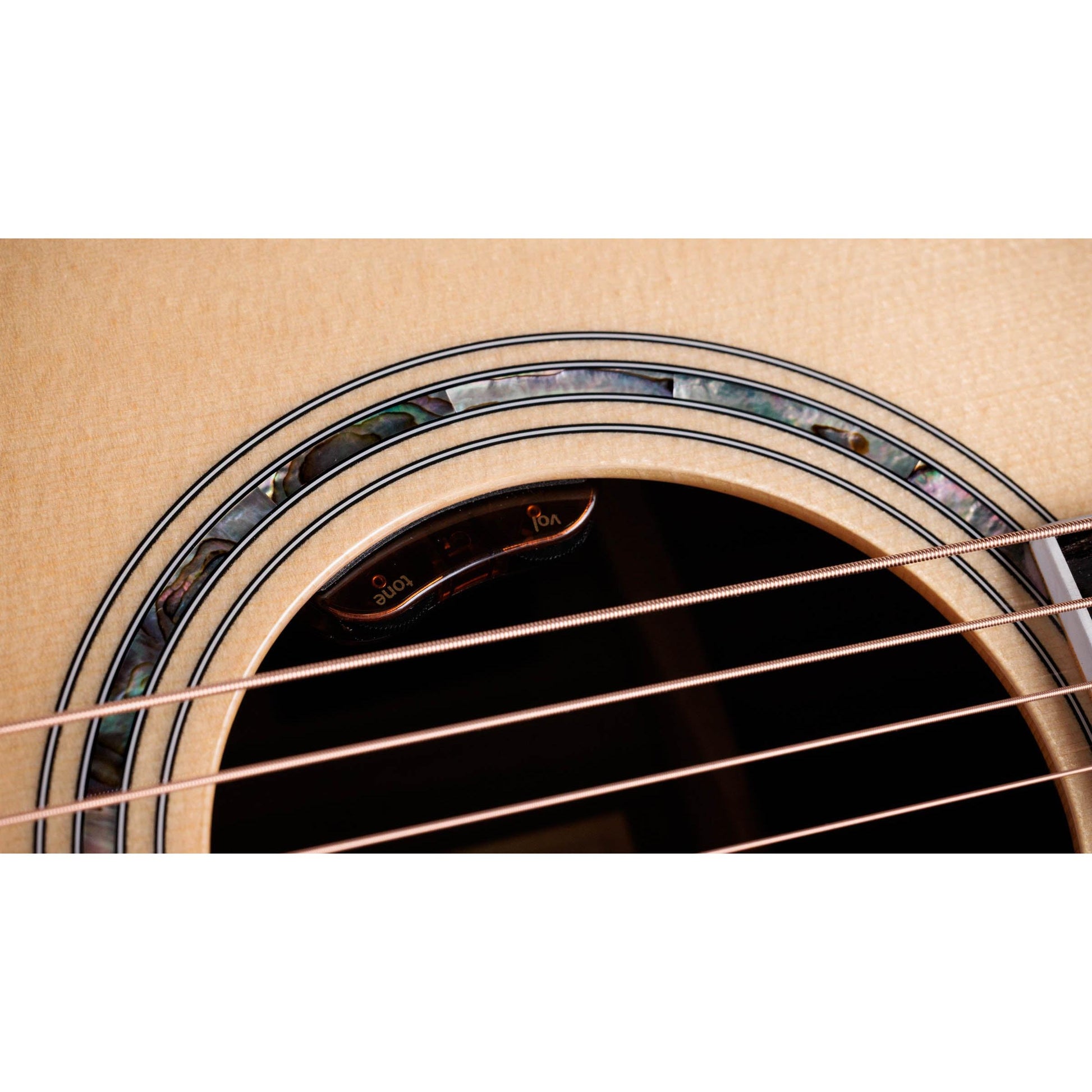 Đàn Guitar Acoustic Taylor Legacy 810e - Việt Music
