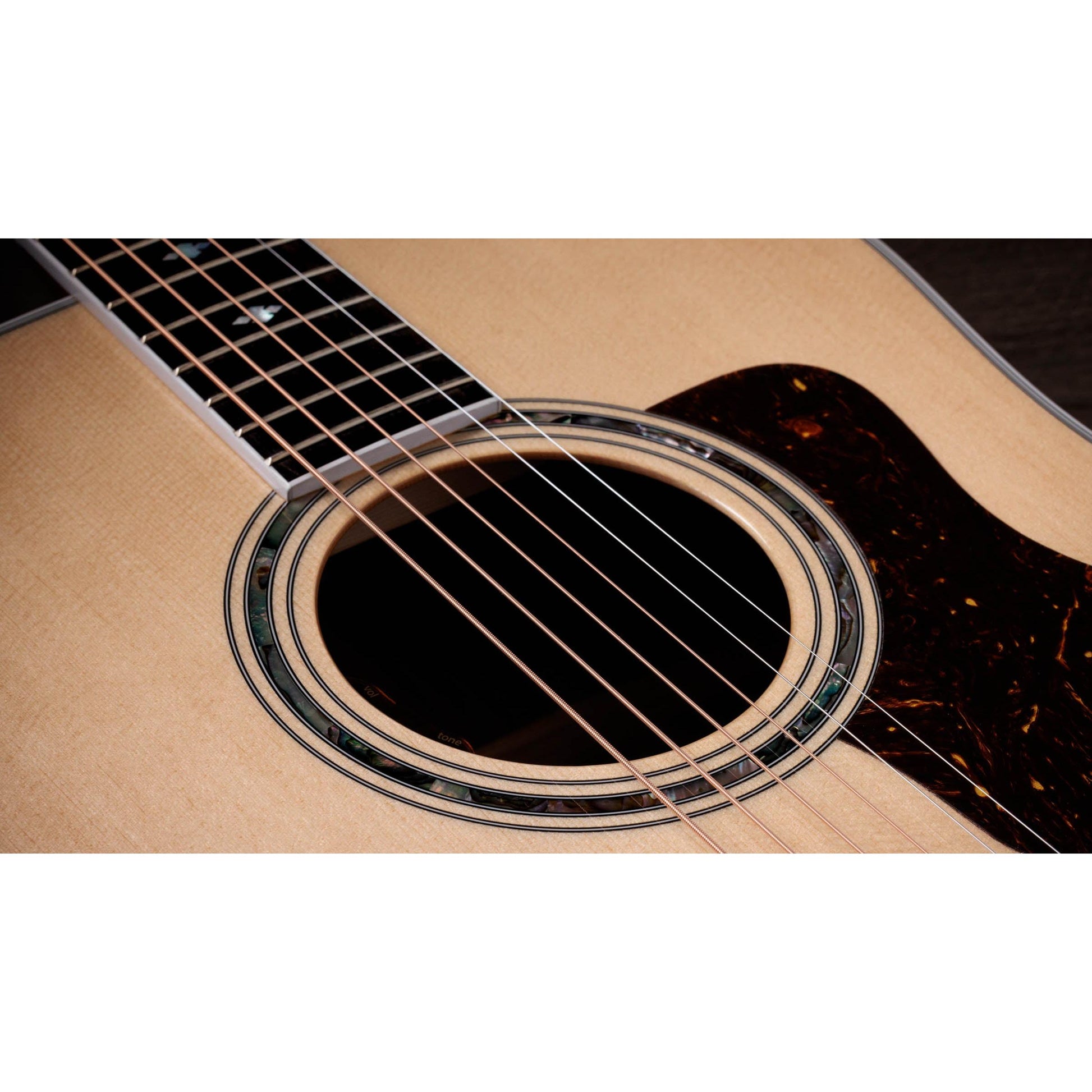Đàn Guitar Acoustic Taylor Legacy 810e - Việt Music