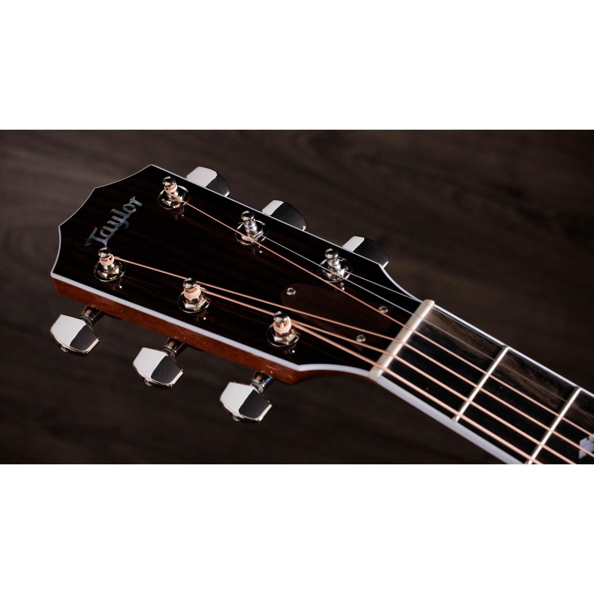 Đàn Guitar Acoustic Taylor Legacy 810e - Việt Music