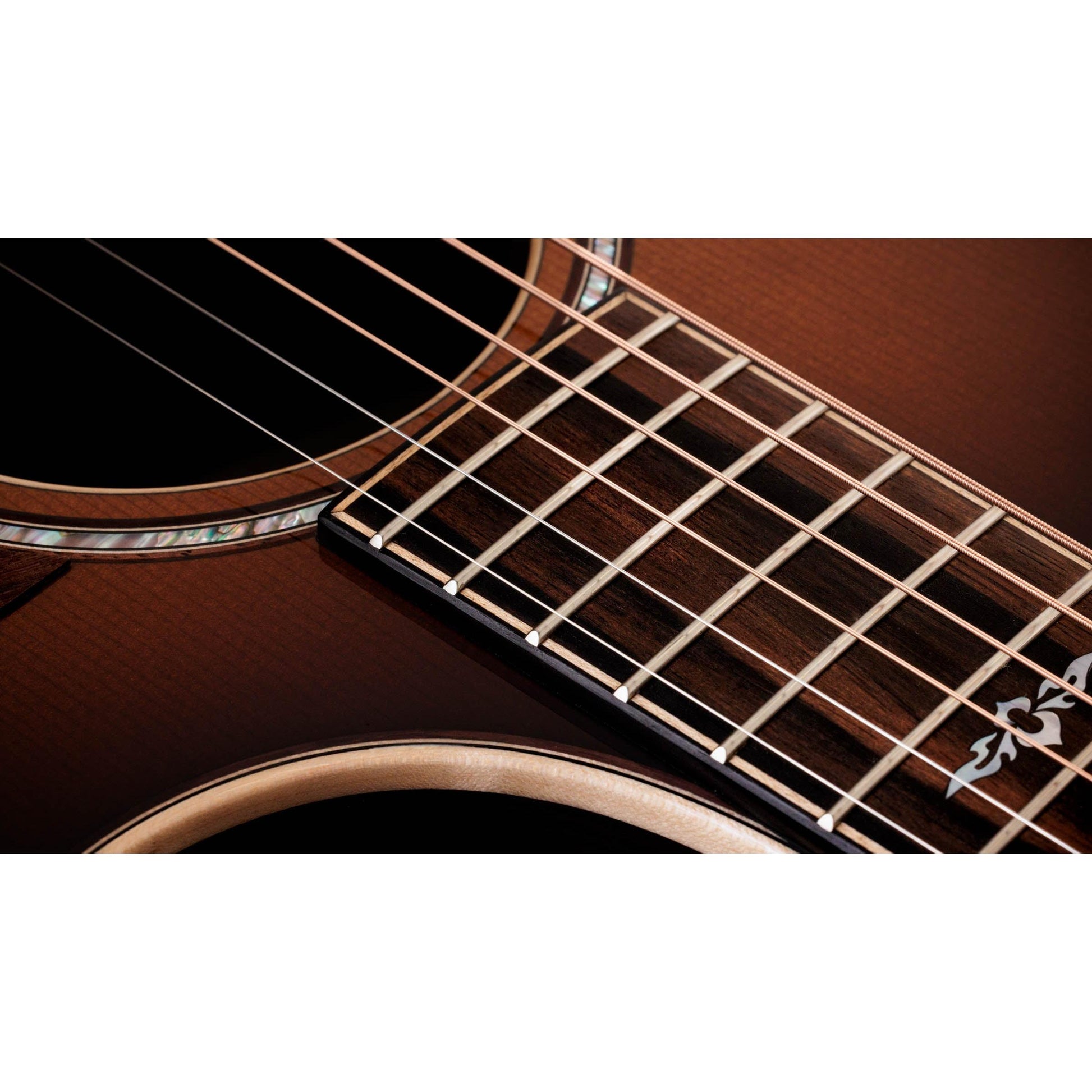 Đàn Guitar Acoustic Taylor 814ce Special Edition - Việt Music