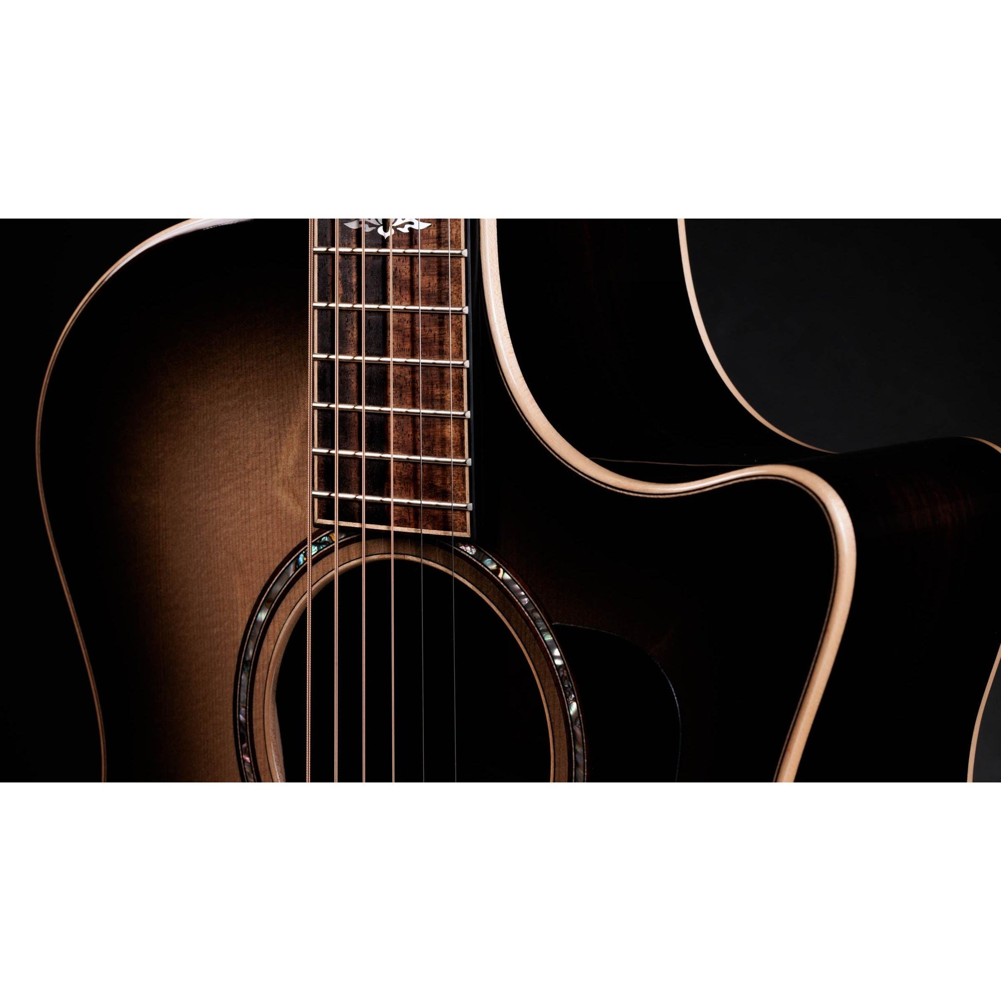 Đàn Guitar Acoustic Taylor 814CE Special Edition - Việt Music