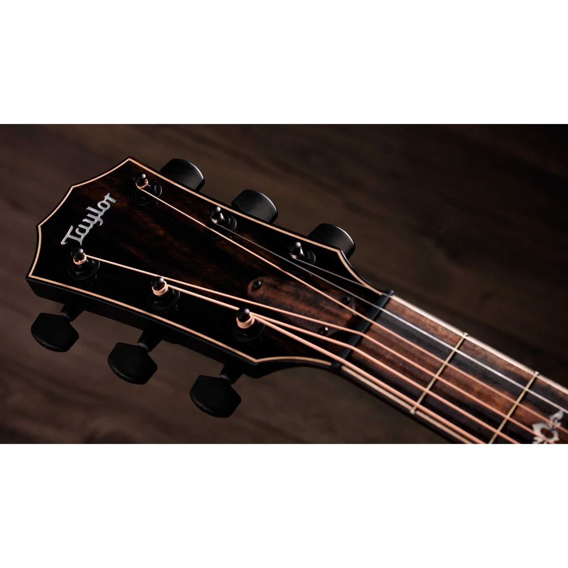 Đàn Guitar Acoustic Taylor 814ce Special Edition - Việt Music
