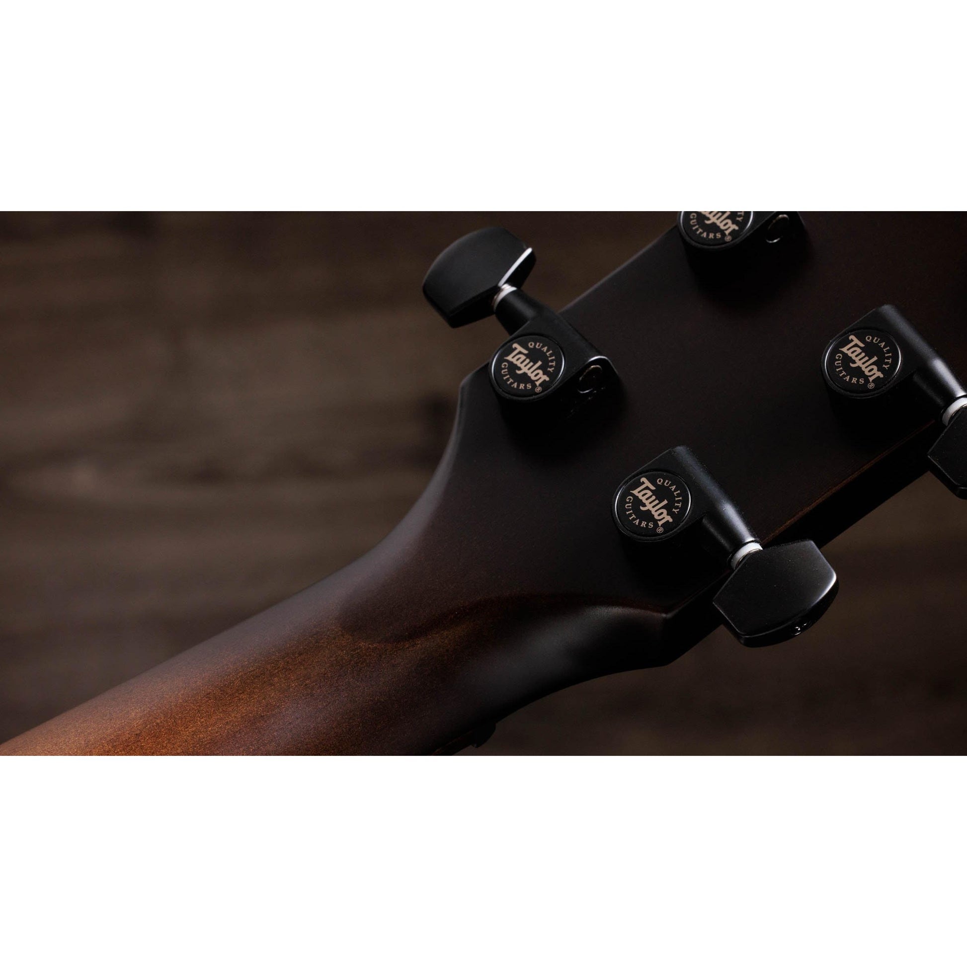 Đàn Guitar Acoustic Taylor 814CE Special Edition - Việt Music