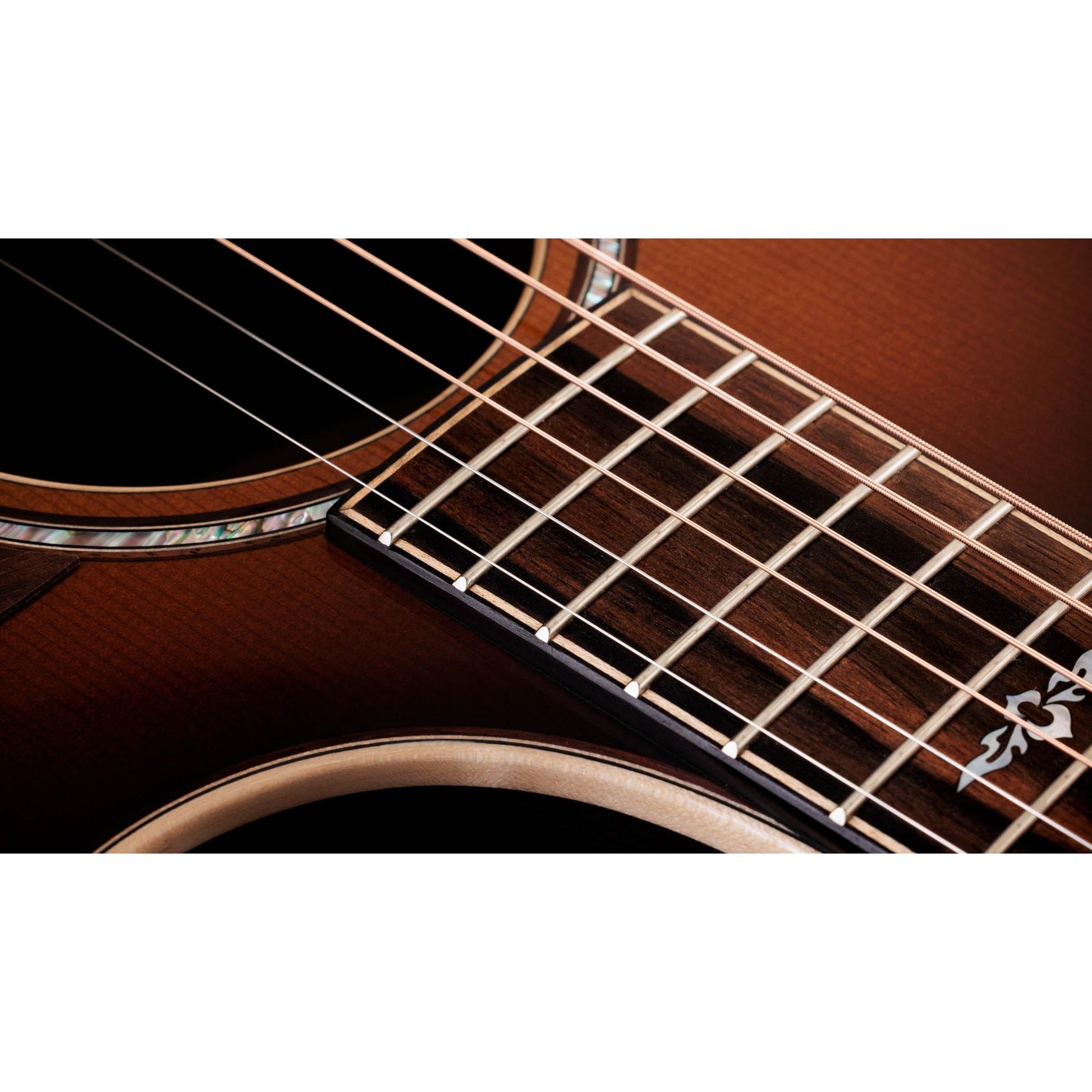 Đàn Guitar Acoustic Taylor 814CE Special Edition - Việt Music