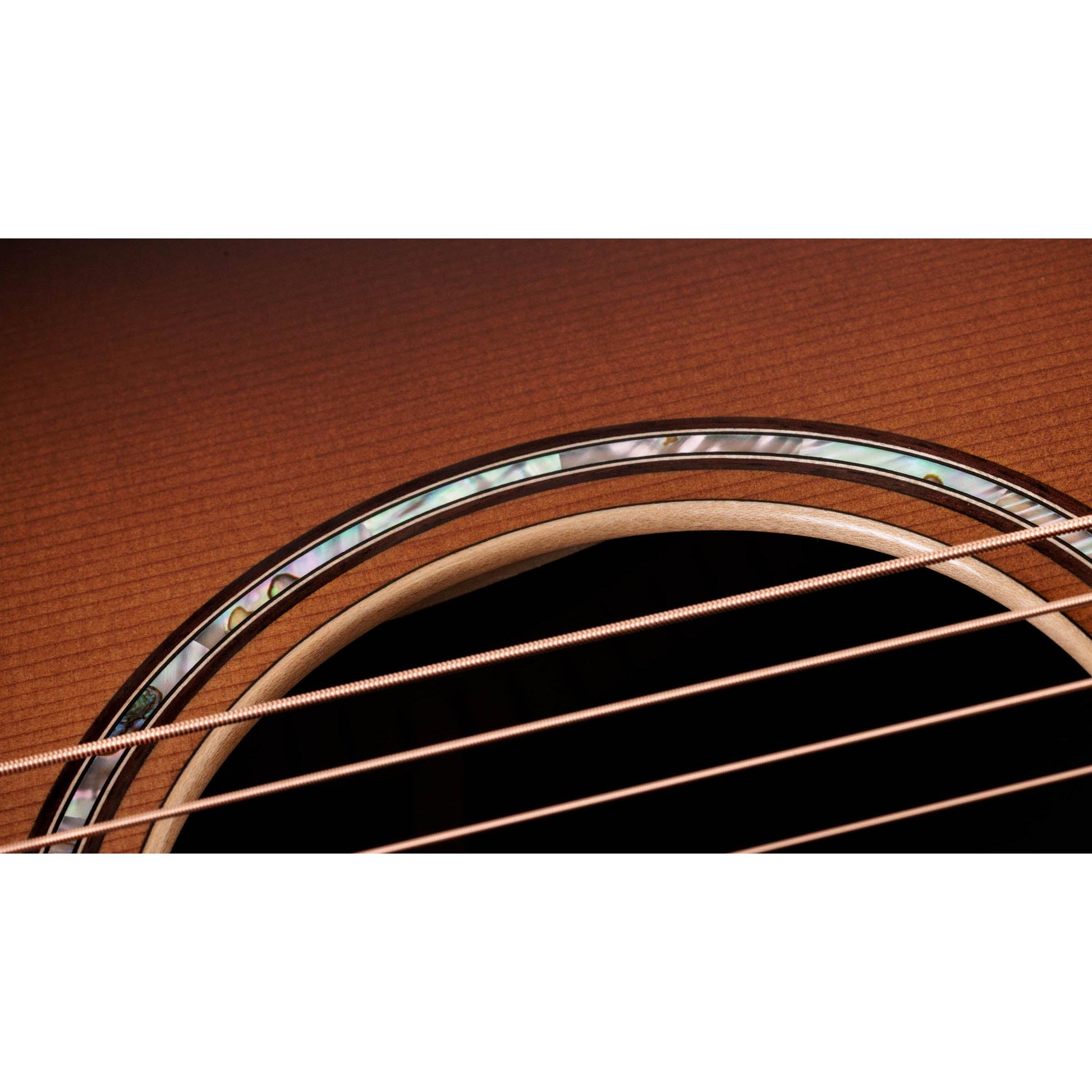 Đàn Guitar Acoustic Taylor 814CE Special Edition - Việt Music