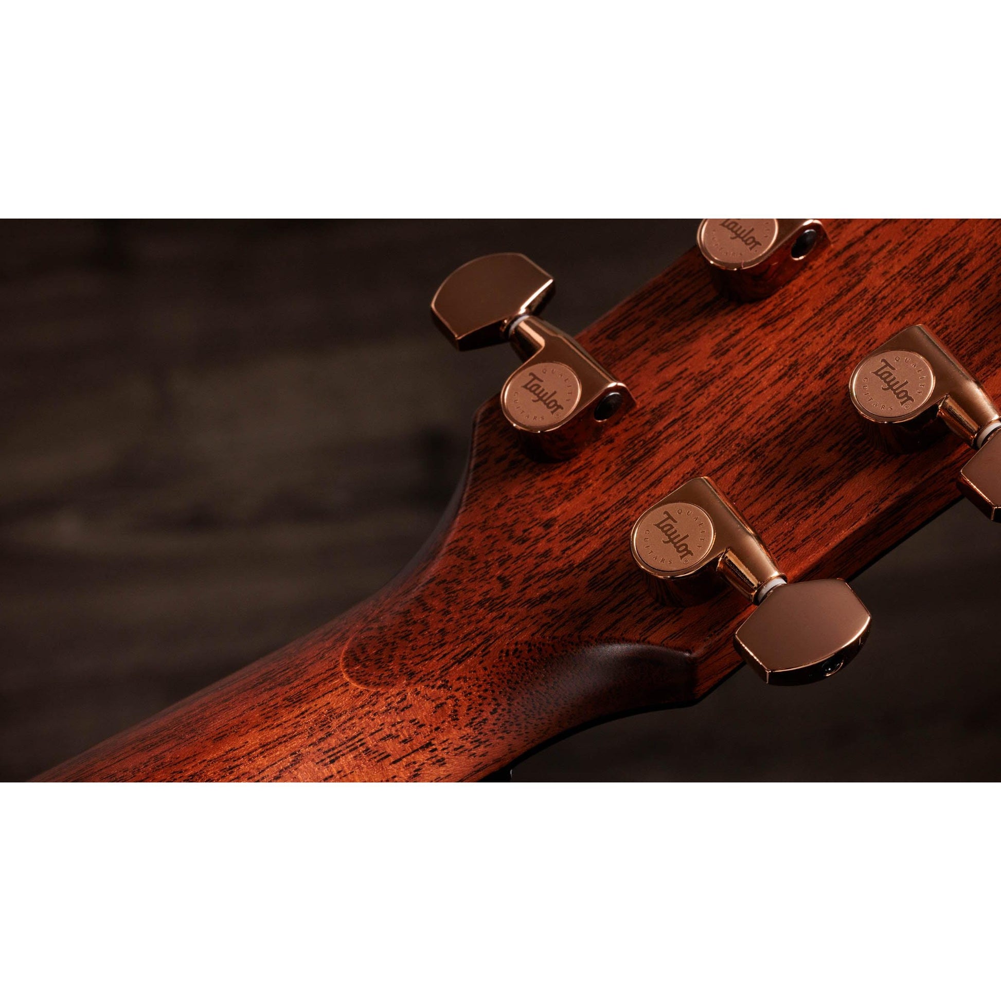 Đàn Guitar Acoustic Taylor 814CE Special Edition - Việt Music