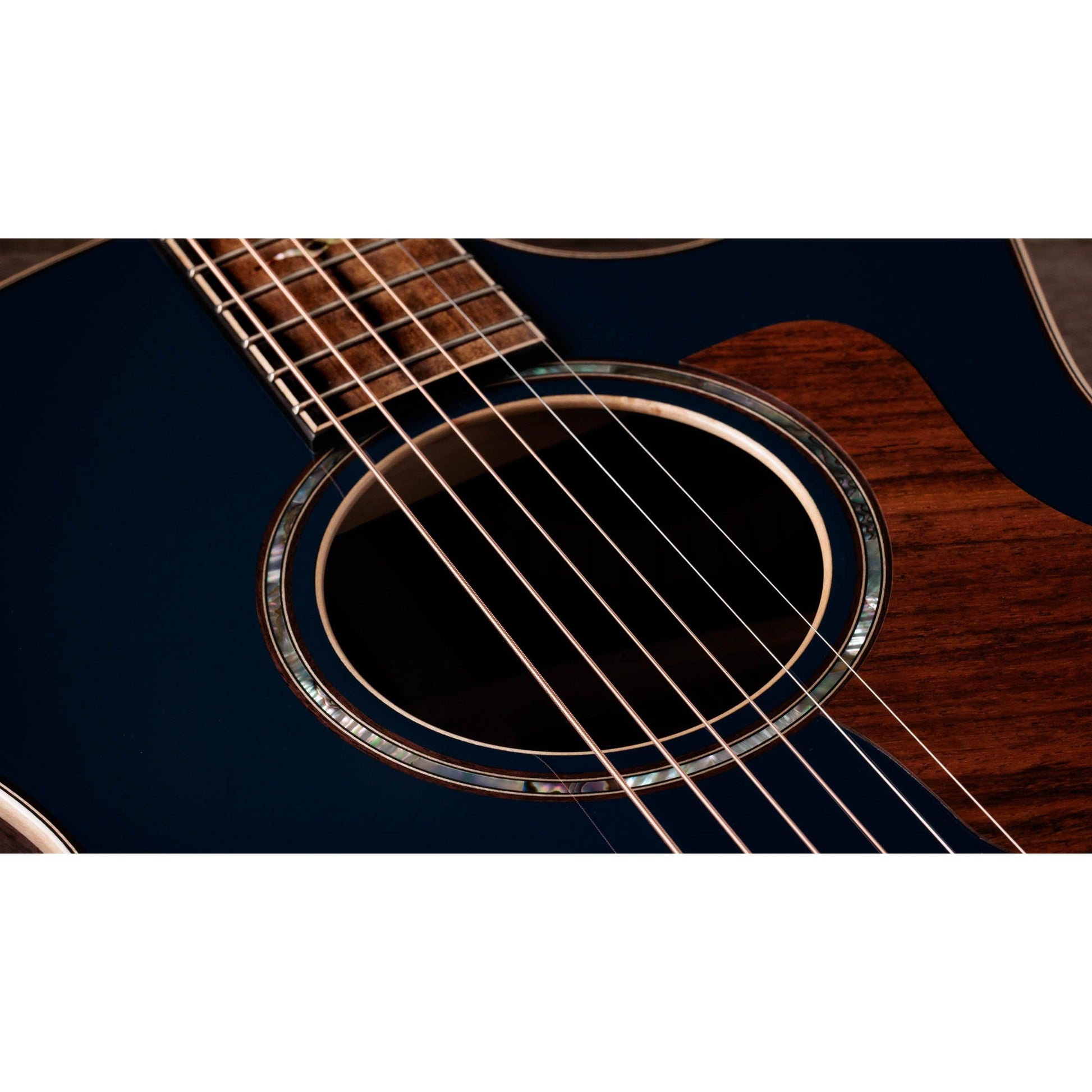 Đàn Guitar Acoustic Taylor 814CE Special Edition - Việt Music