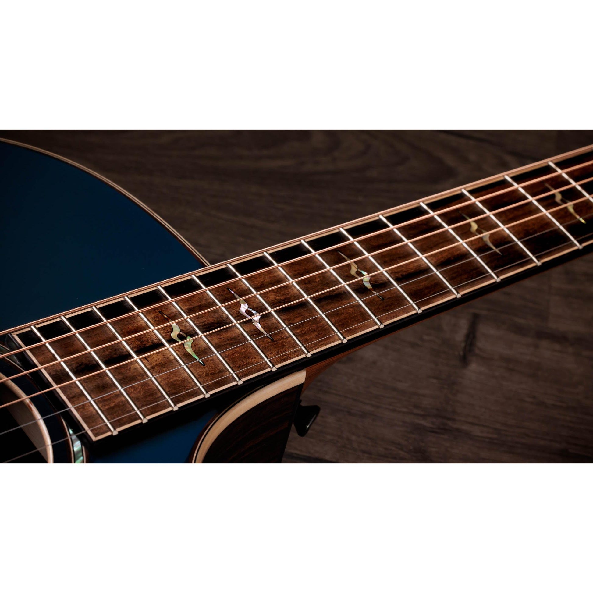 Đàn Guitar Acoustic Taylor 814CE Special Edition - Việt Music