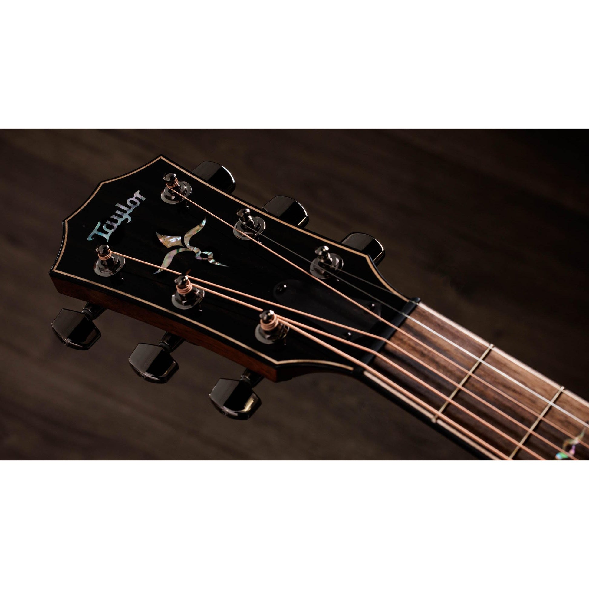 Đàn Guitar Acoustic Taylor 814CE Special Edition - Việt Music
