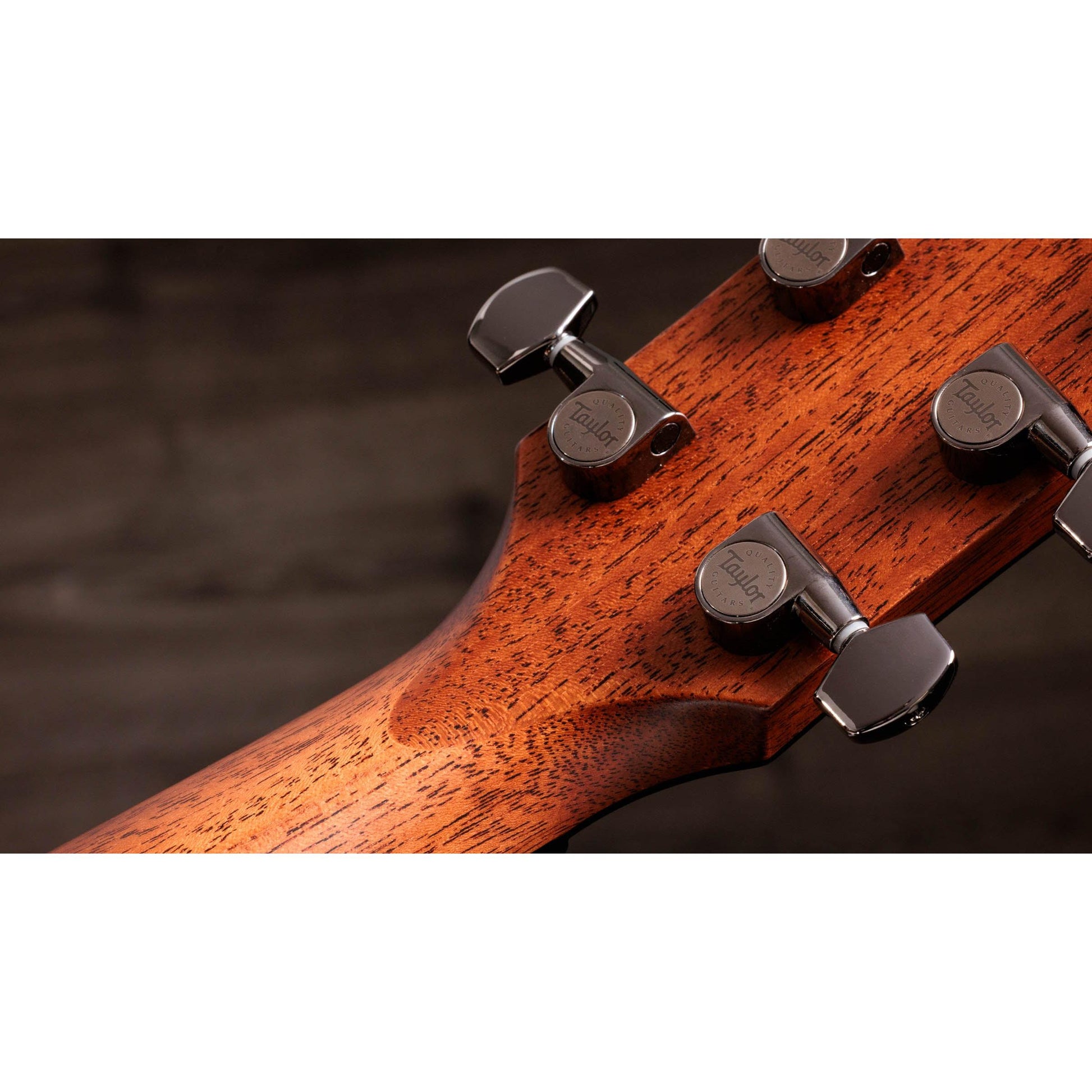 Đàn Guitar Acoustic Taylor 814CE Special Edition - Việt Music