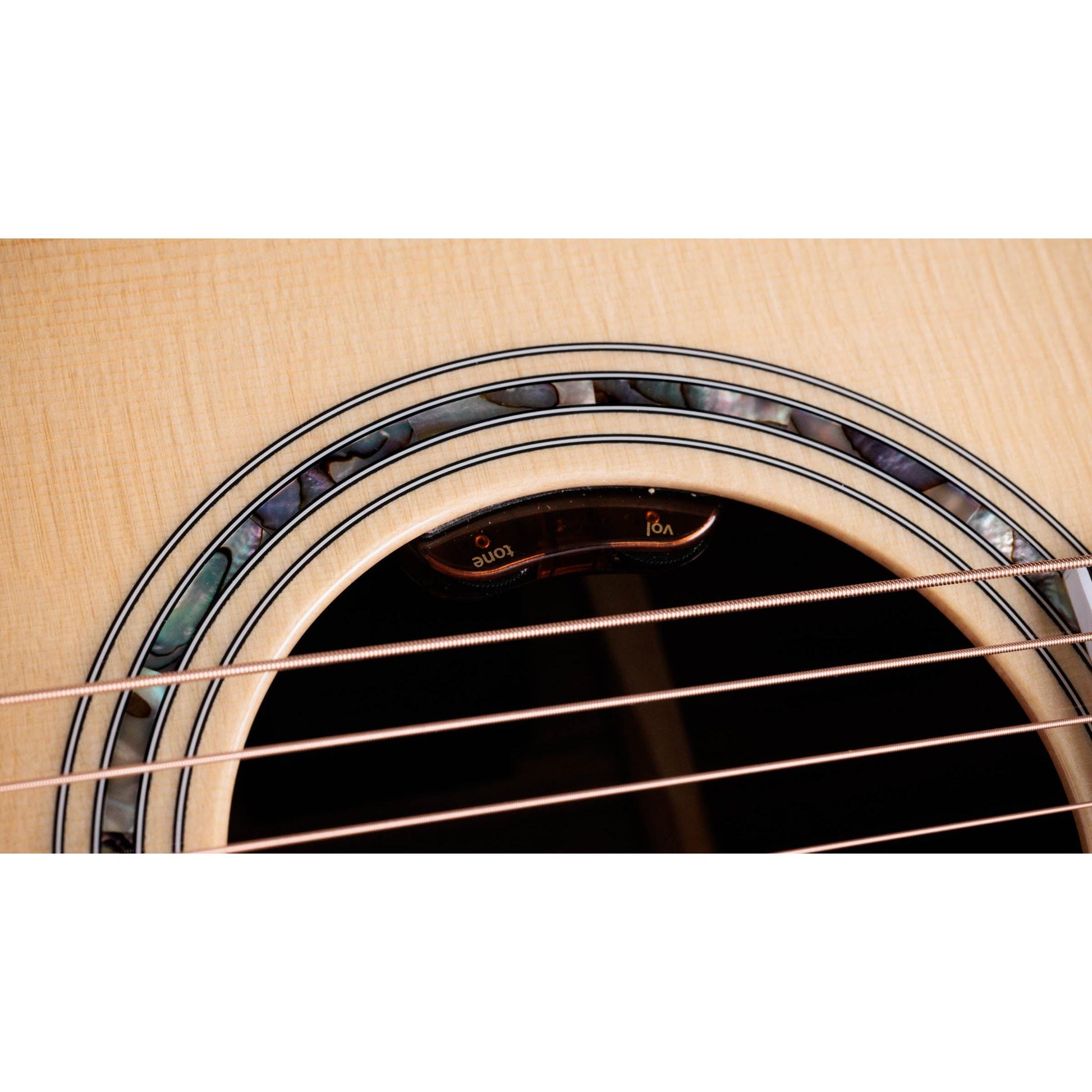 Đàn Guitar Acoustic Taylor 815E Legacy - Việt Music