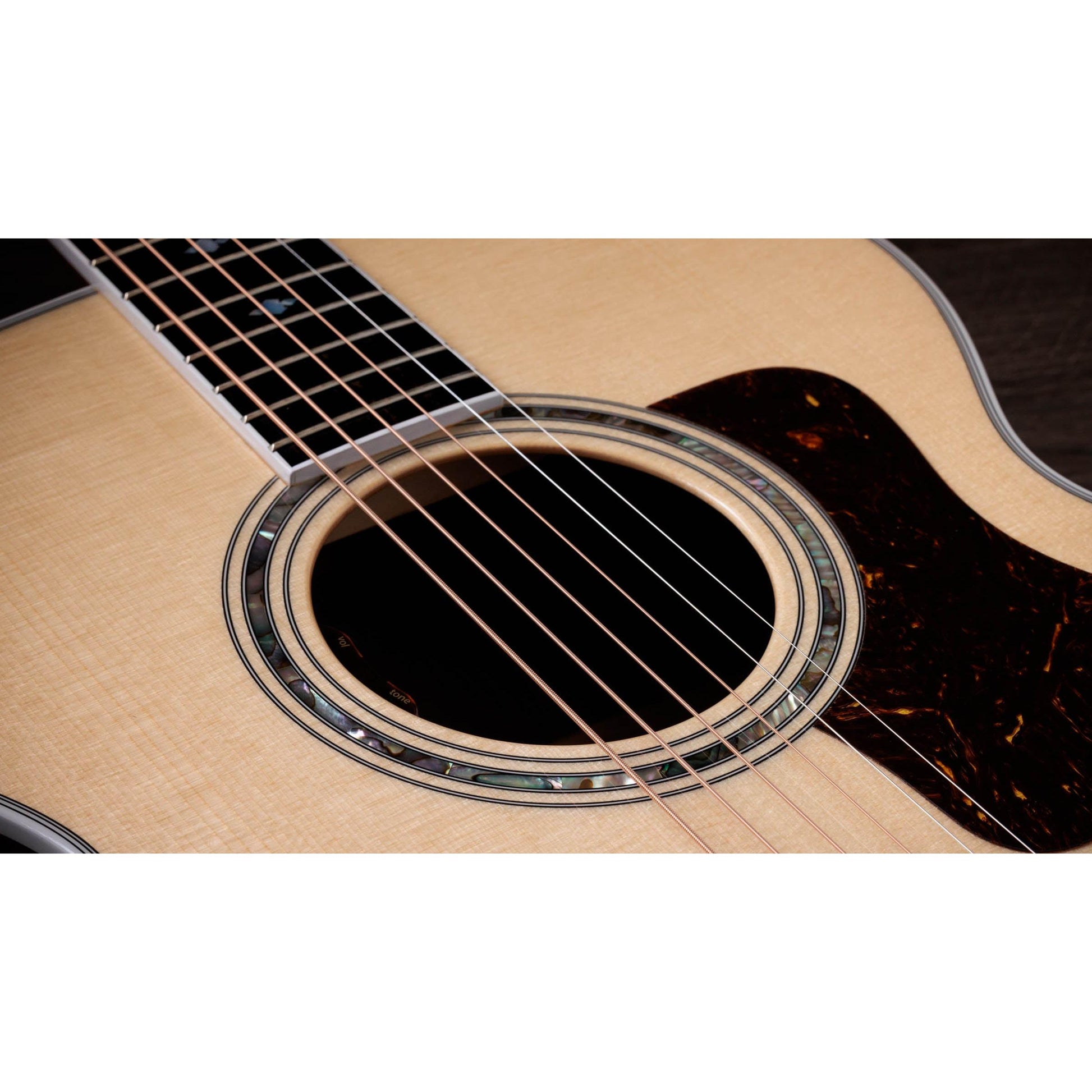 Đàn Guitar Acoustic Taylor 815e Legacy - Việt Music