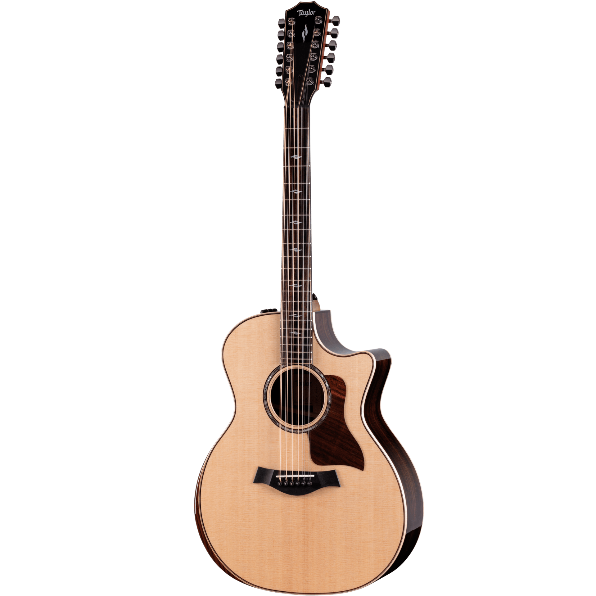 Đàn Guitar Acoustic Taylor 854ce - Việt Music