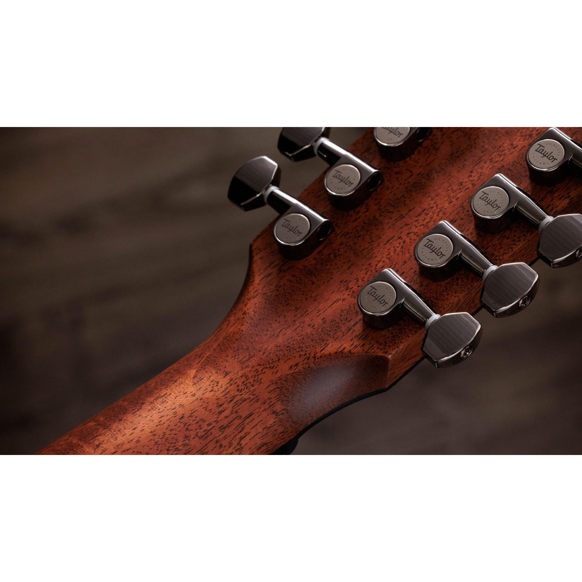 Đàn Guitar Acoustic Taylor 854ce - Việt Music