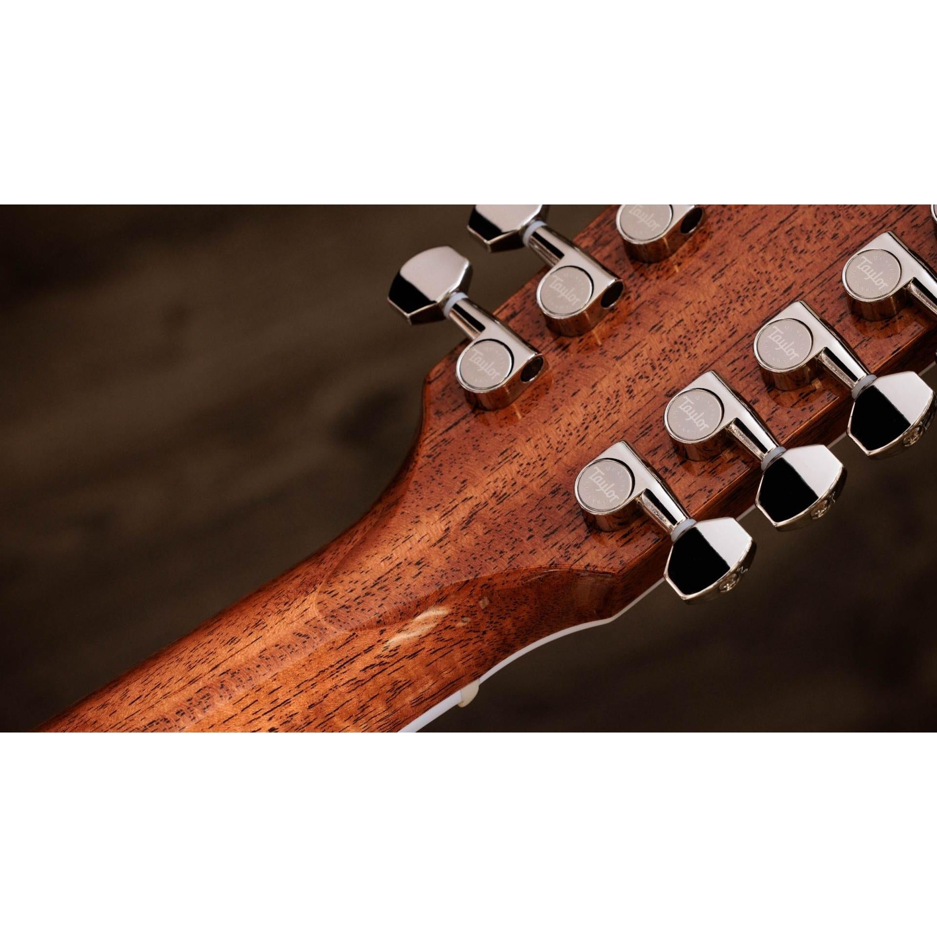 Đàn Guitar Acoustic Taylor 855e - Việt Music