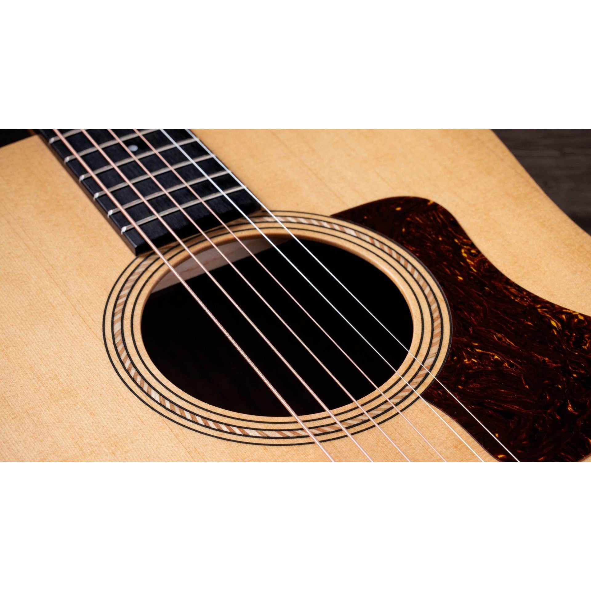 Đàn Guitar Acoustic Taylor A10E - Dreadnought - Việt Music