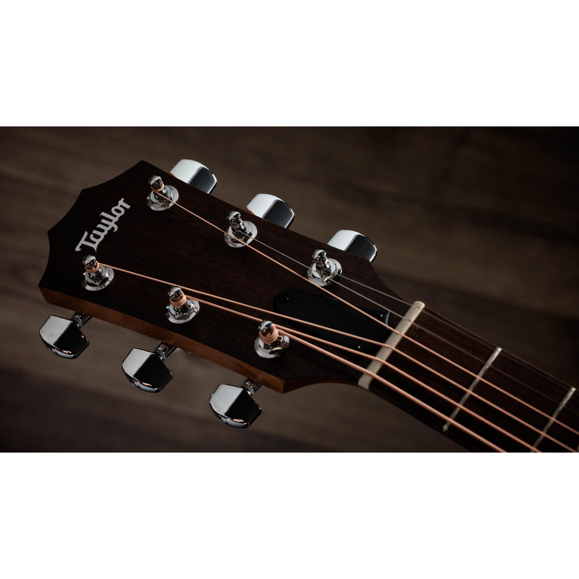 Đàn Guitar Acoustic Taylor Academy 10E LTD - Việt Music