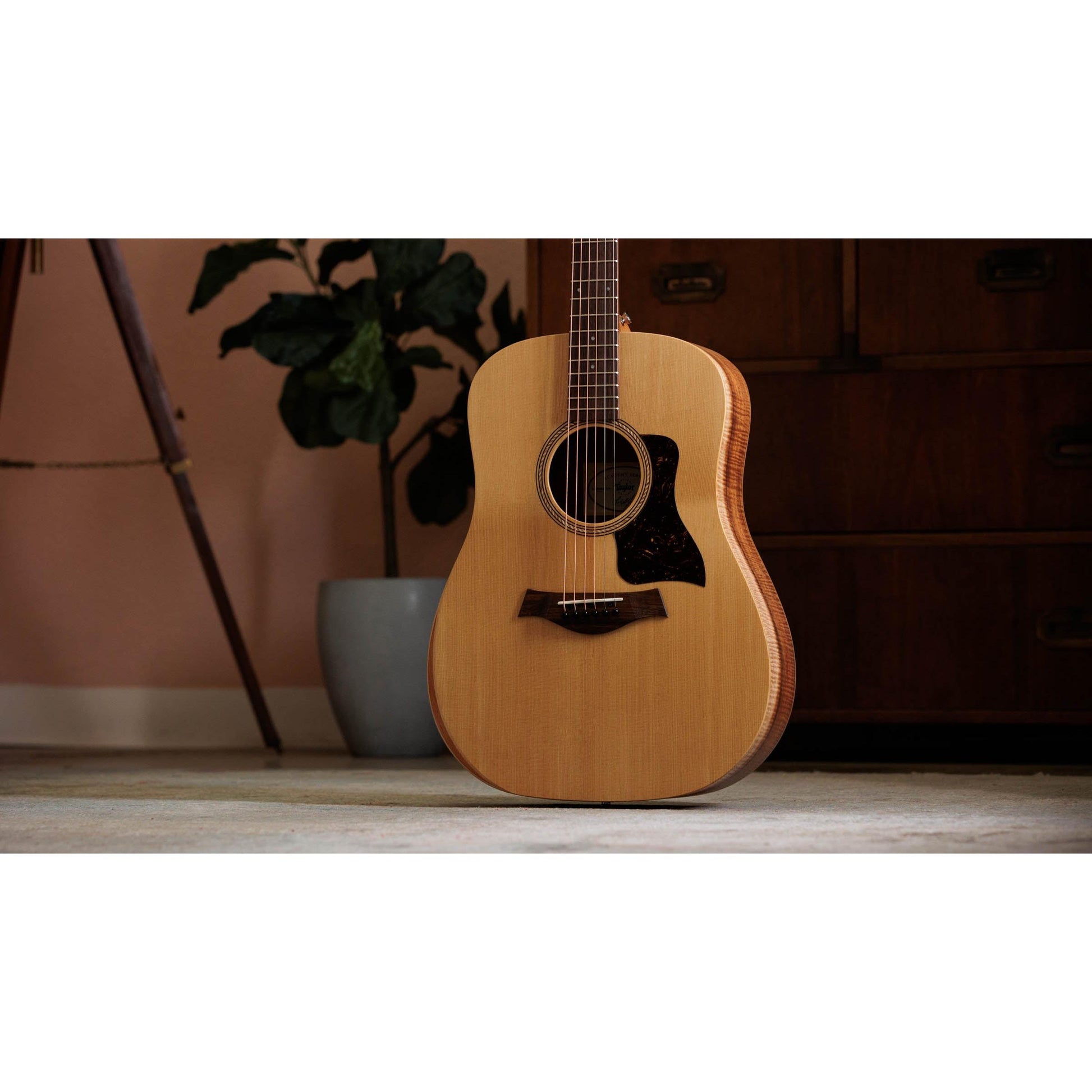 Đàn Guitar Acoustic Taylor Academy 10E LTD - Việt Music