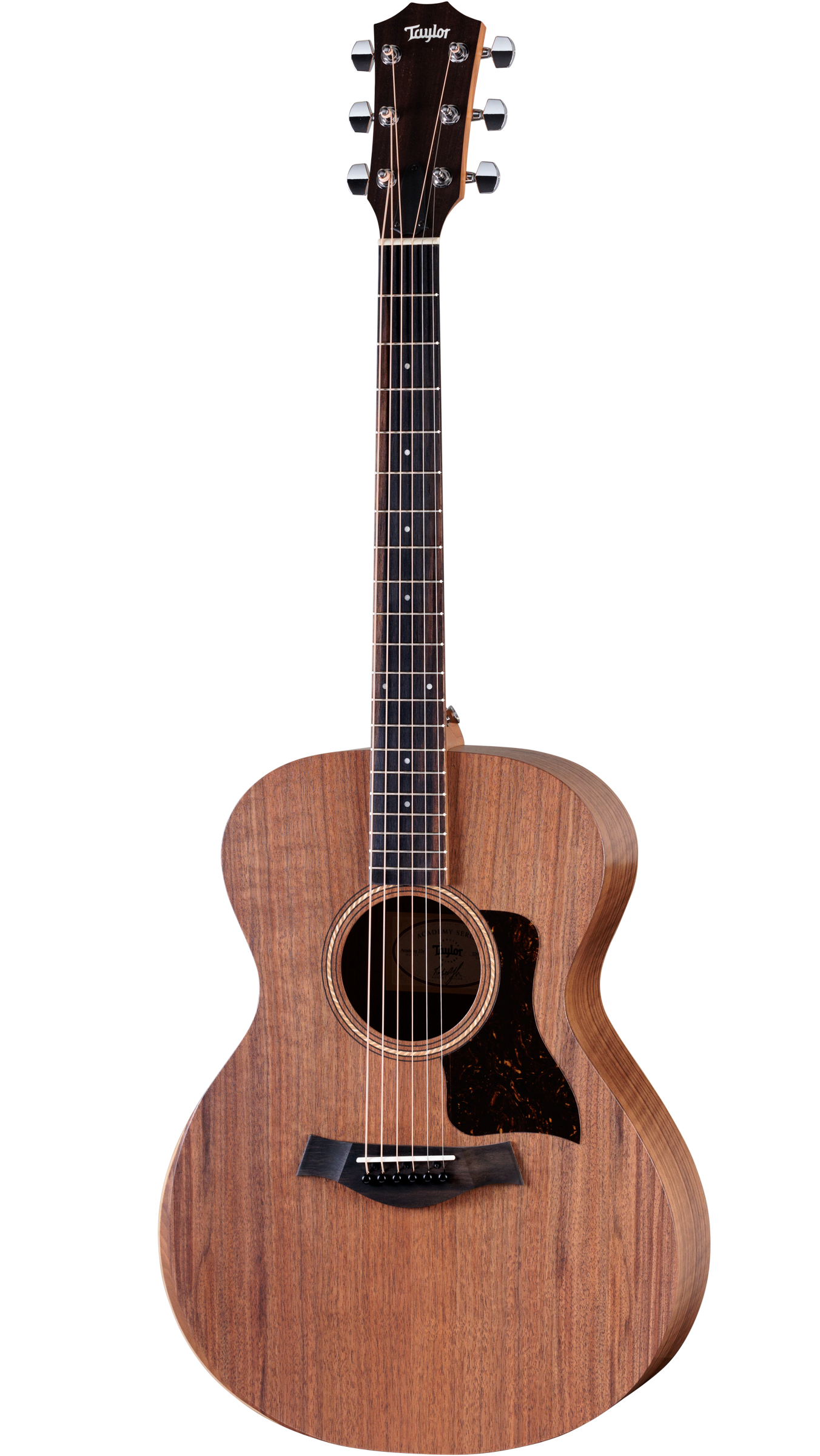 Đàn Guitar Acoustic Taylor Academy 22E - Việt Music