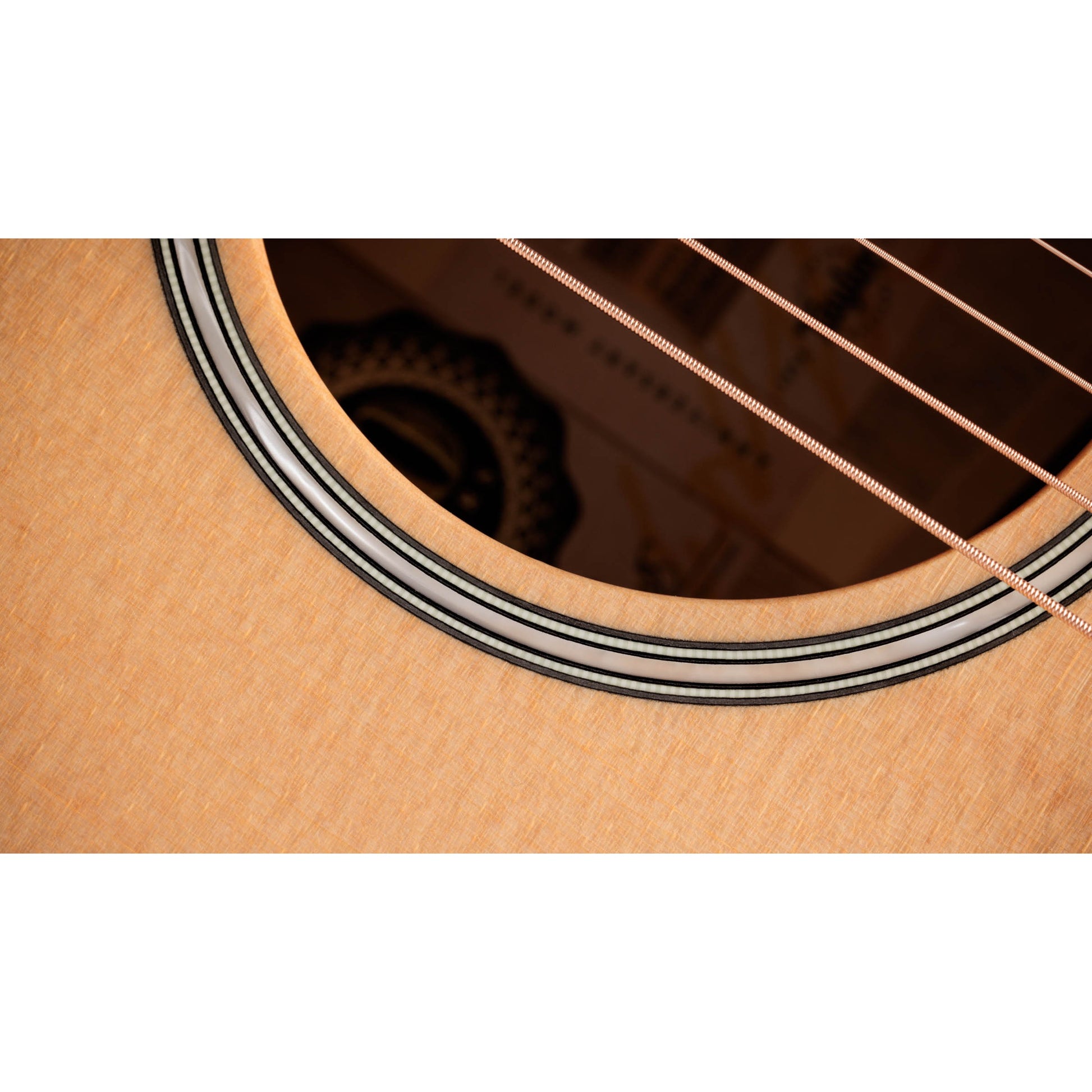 Đàn Guitar Acoustic Taylor 314CE LTD - 50th Anniversary Builder's Edition - Grand Auditorium - Việt Music