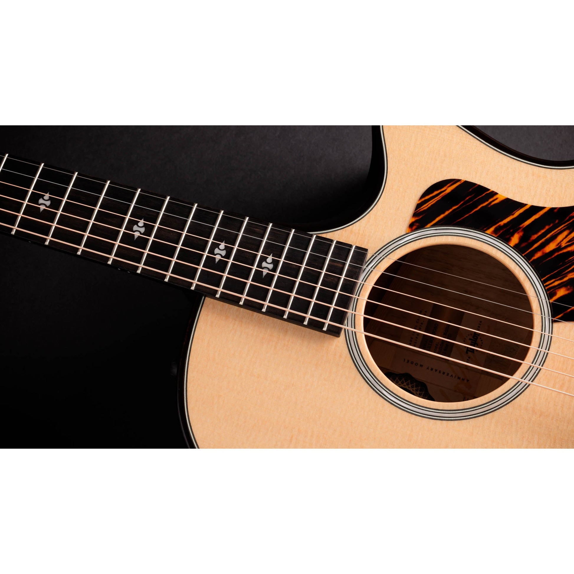 Đàn Guitar Acoustic Taylor 314CE LTD - 50th Anniversary Builder's Edition - Grand Auditorium - Việt Music