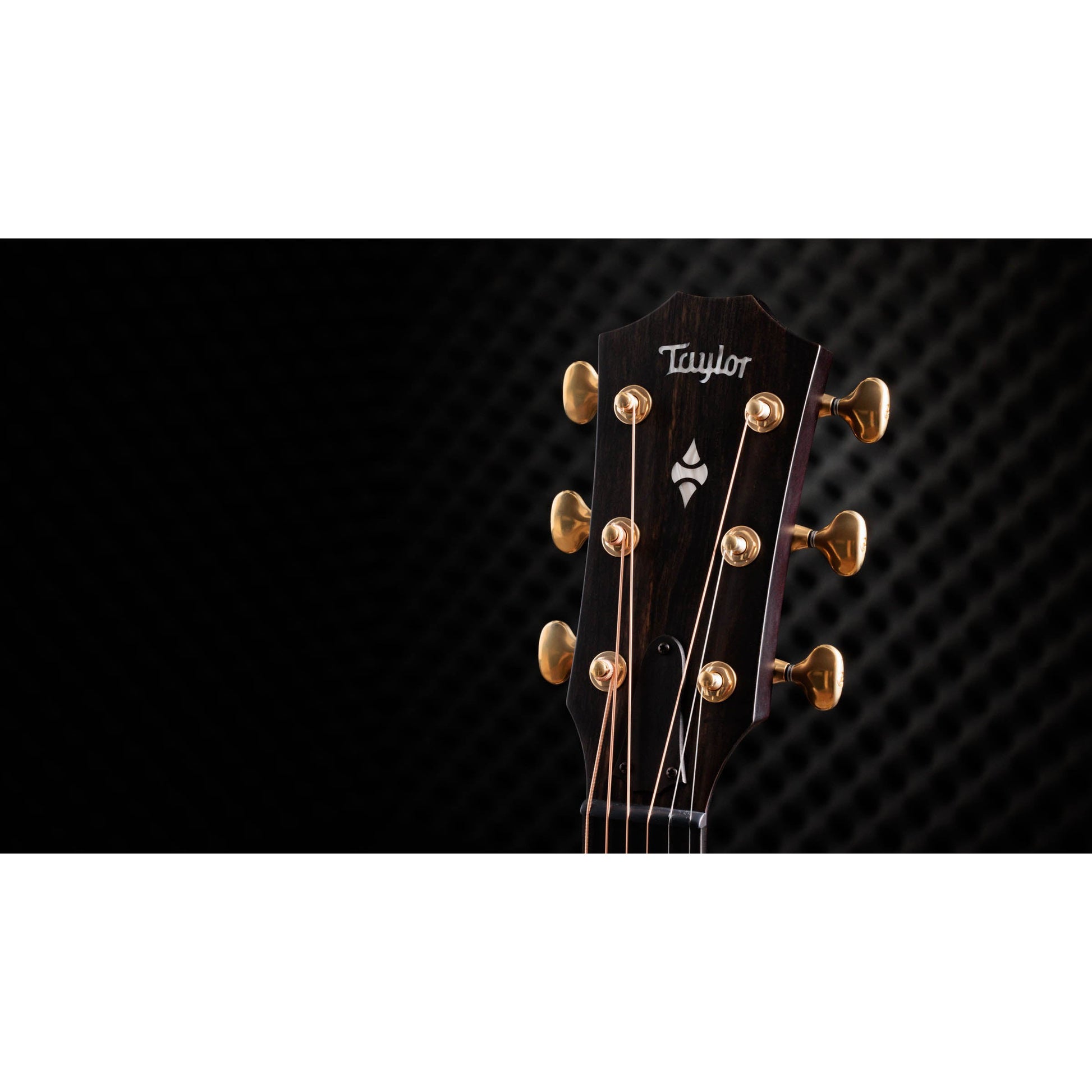 Đàn Guitar Acoustic Taylor 314CE LTD - 50th Anniversary Builder's Edition - Grand Auditorium - Việt Music