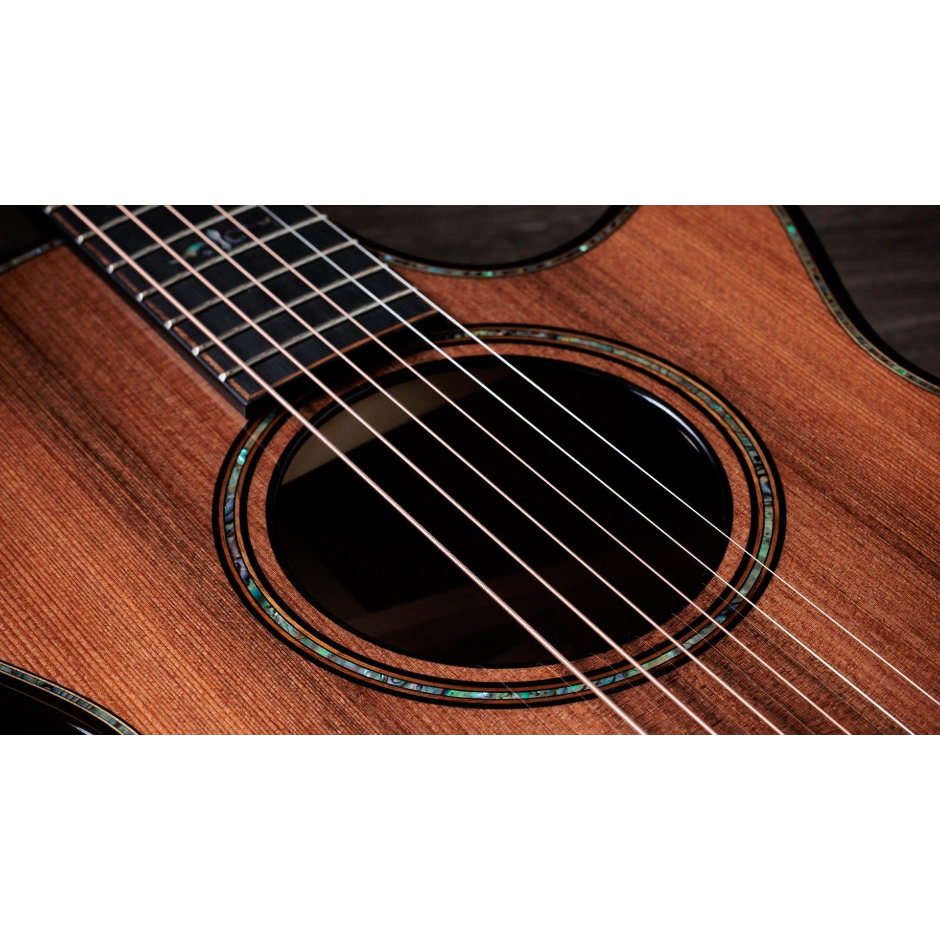 Đàn Guitar Acoustic Taylor 912CE Builder's Edition Honduran Rosewood - Grand Concert - Việt Music
