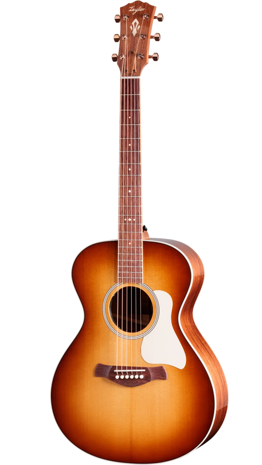 Đàn Guitar Acoustic Taylor Ben Harper Gold Label 512e Special Edition