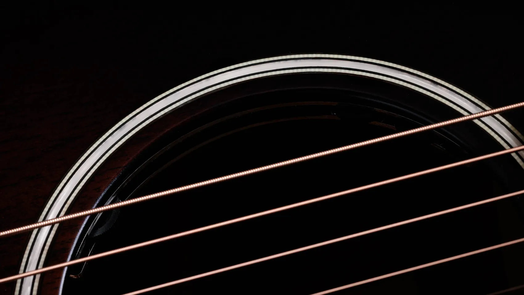 Đàn Guitar Acoustic Taylor Next Generation Builder's Edition 324ce - Việt Music