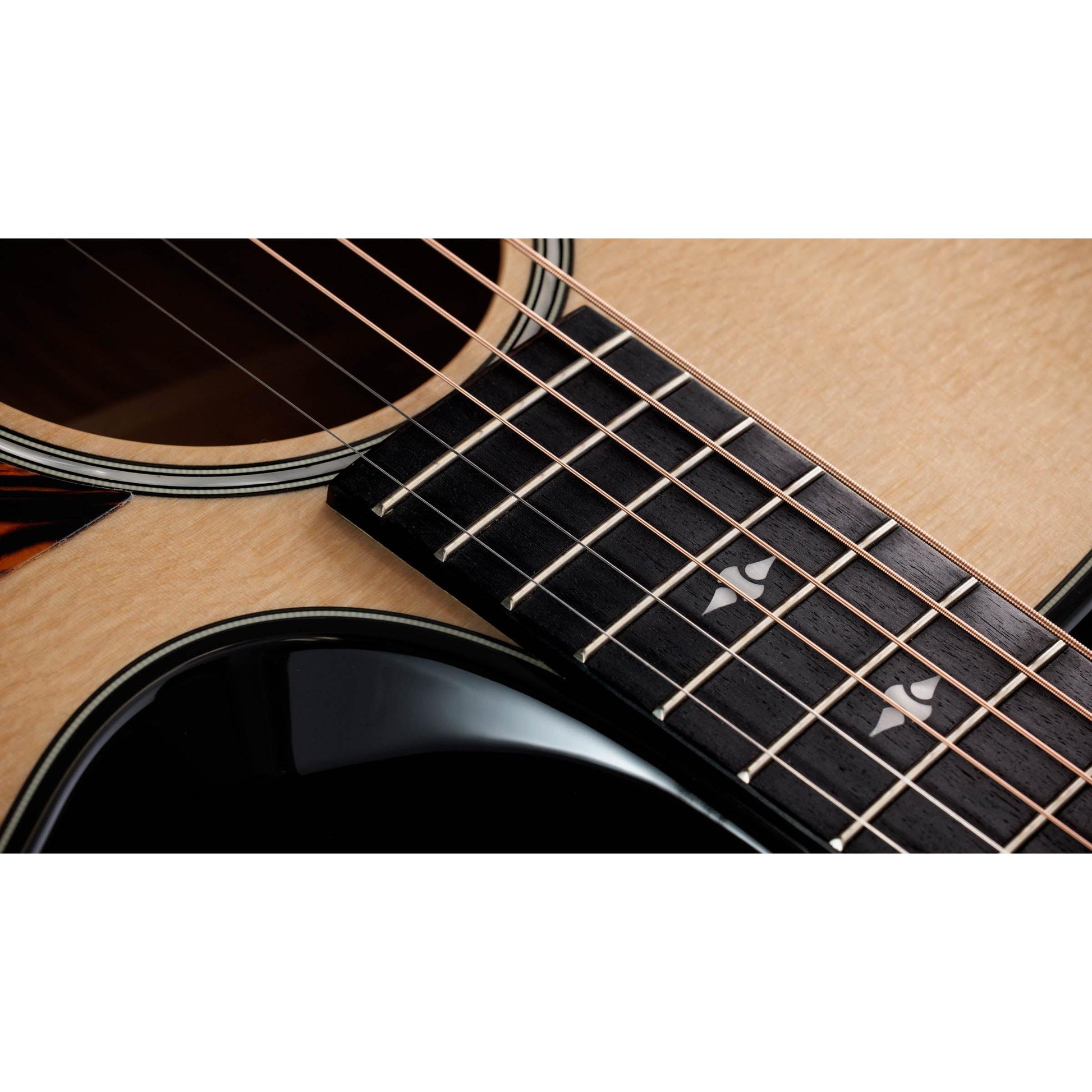 Đàn Guitar Acoustic Taylor 514CE Builder's Edition - Grand Auditorium - Việt Music