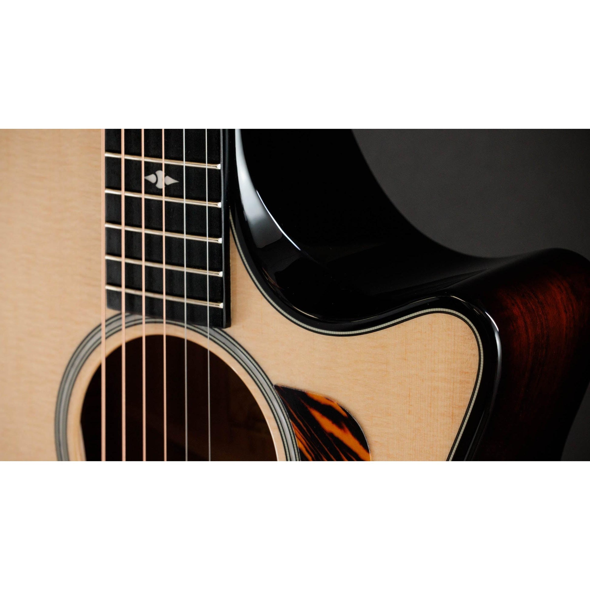 Đàn Guitar Acoustic Taylor 514CE Builder's Edition - Grand Auditorium - Việt Music