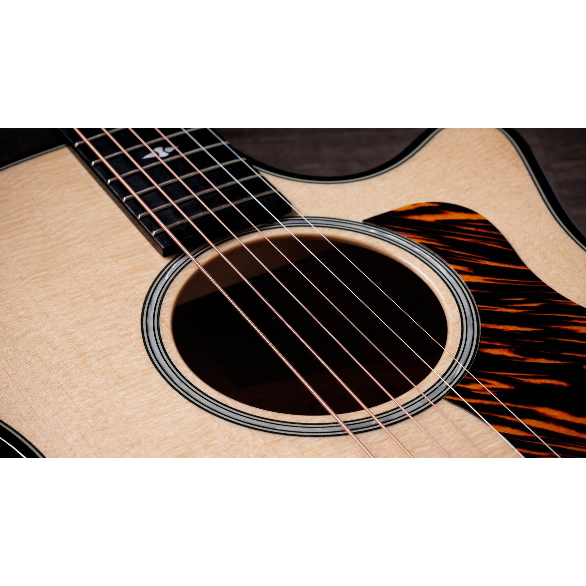 Đàn Guitar Acoustic Taylor 514CE Builder's Edition - Grand Auditorium - Việt Music