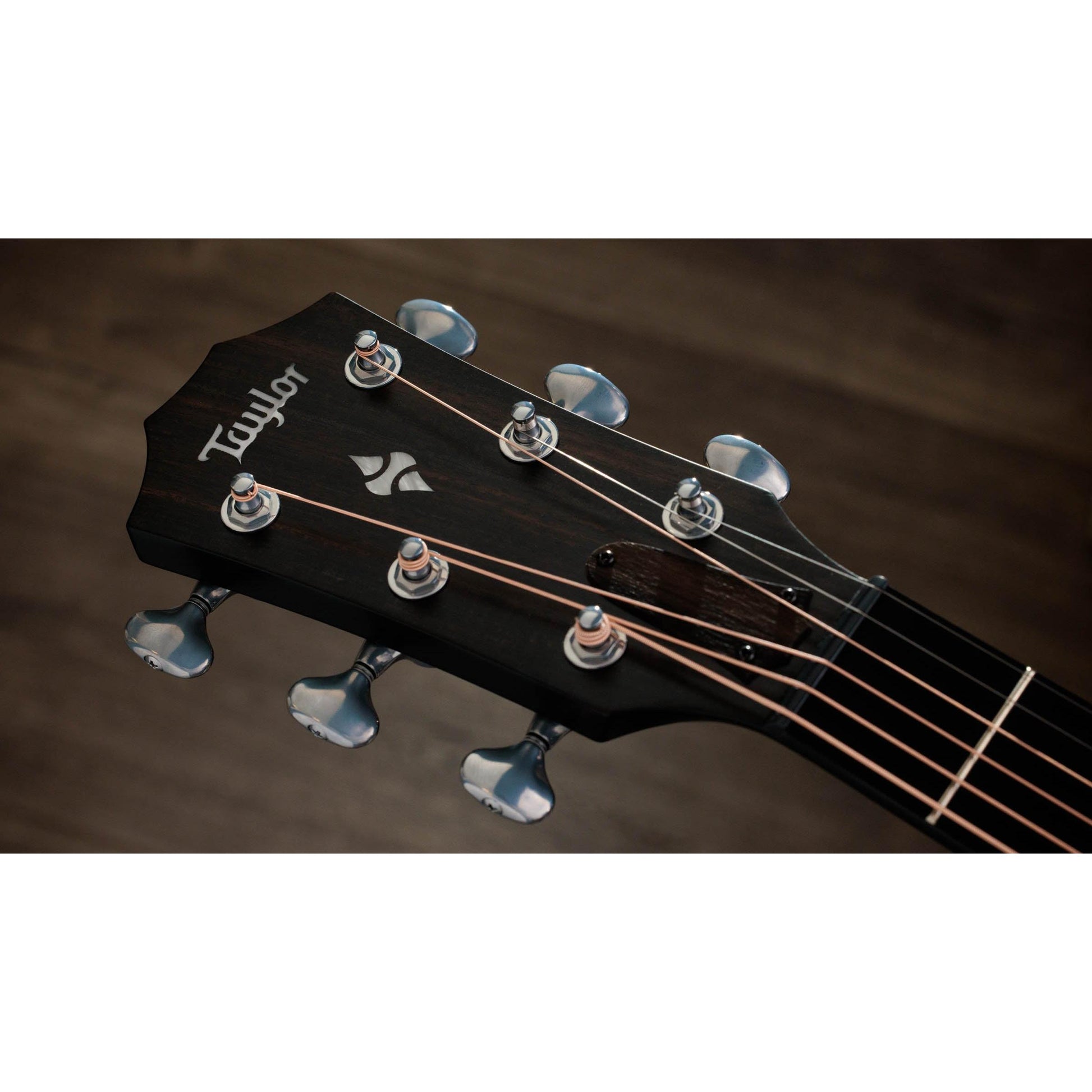 Đàn Guitar Acoustic Taylor 514CE Builder's Edition - Grand Auditorium - Việt Music