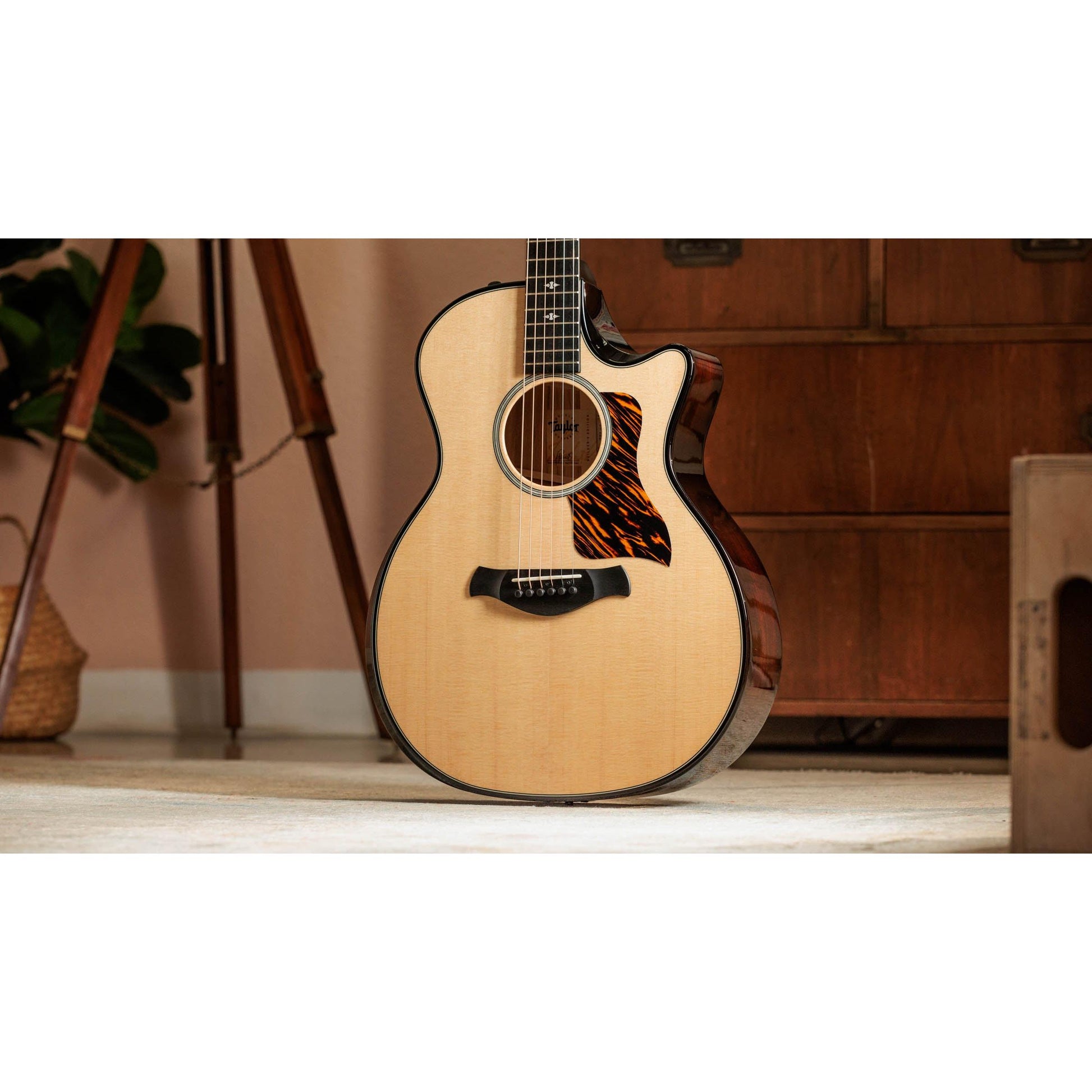 Đàn Guitar Acoustic Taylor 514CE Builder's Edition - Grand Auditorium - Việt Music