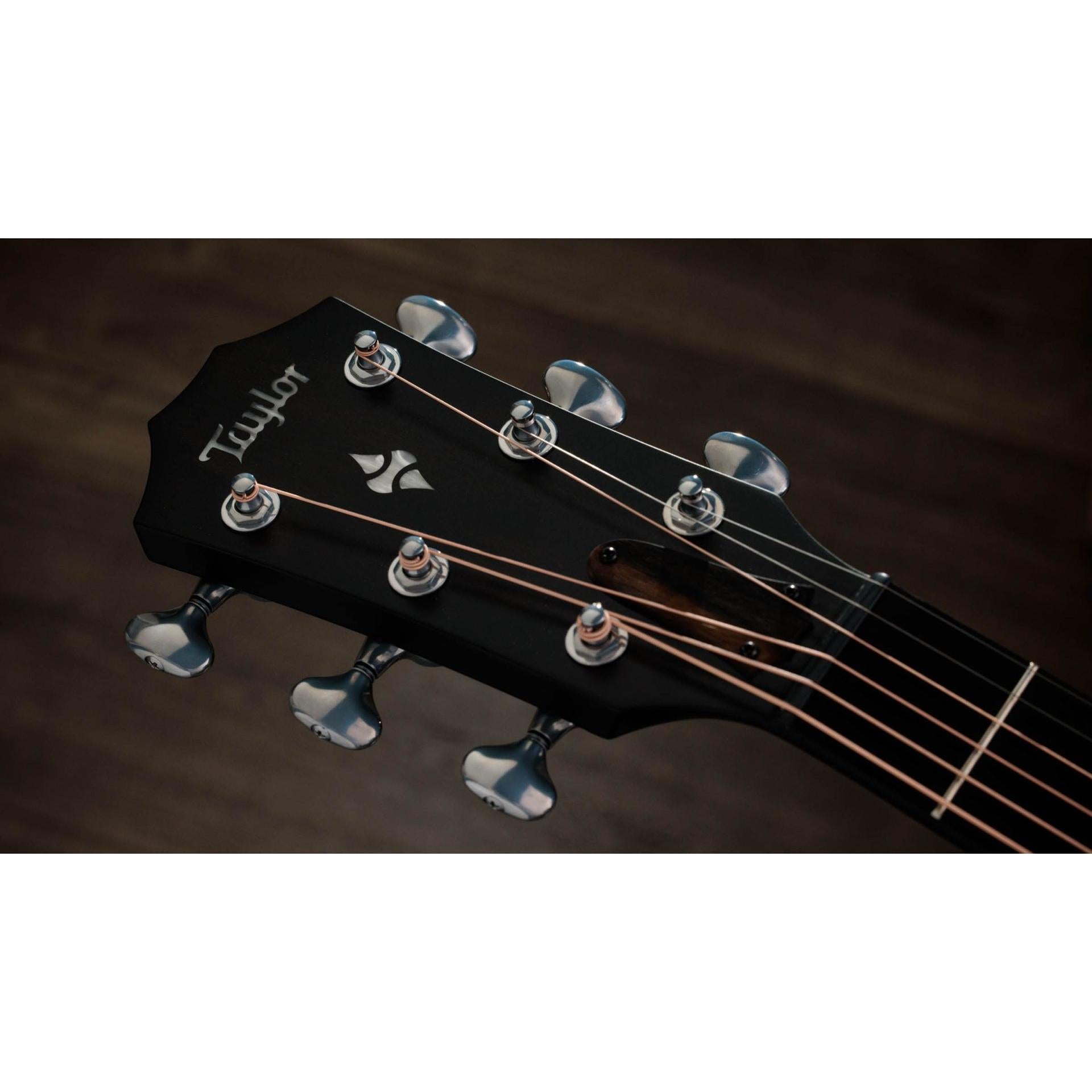 Đàn Guitar Acoustic Taylor 514CE Builder's Edition - Việt Music