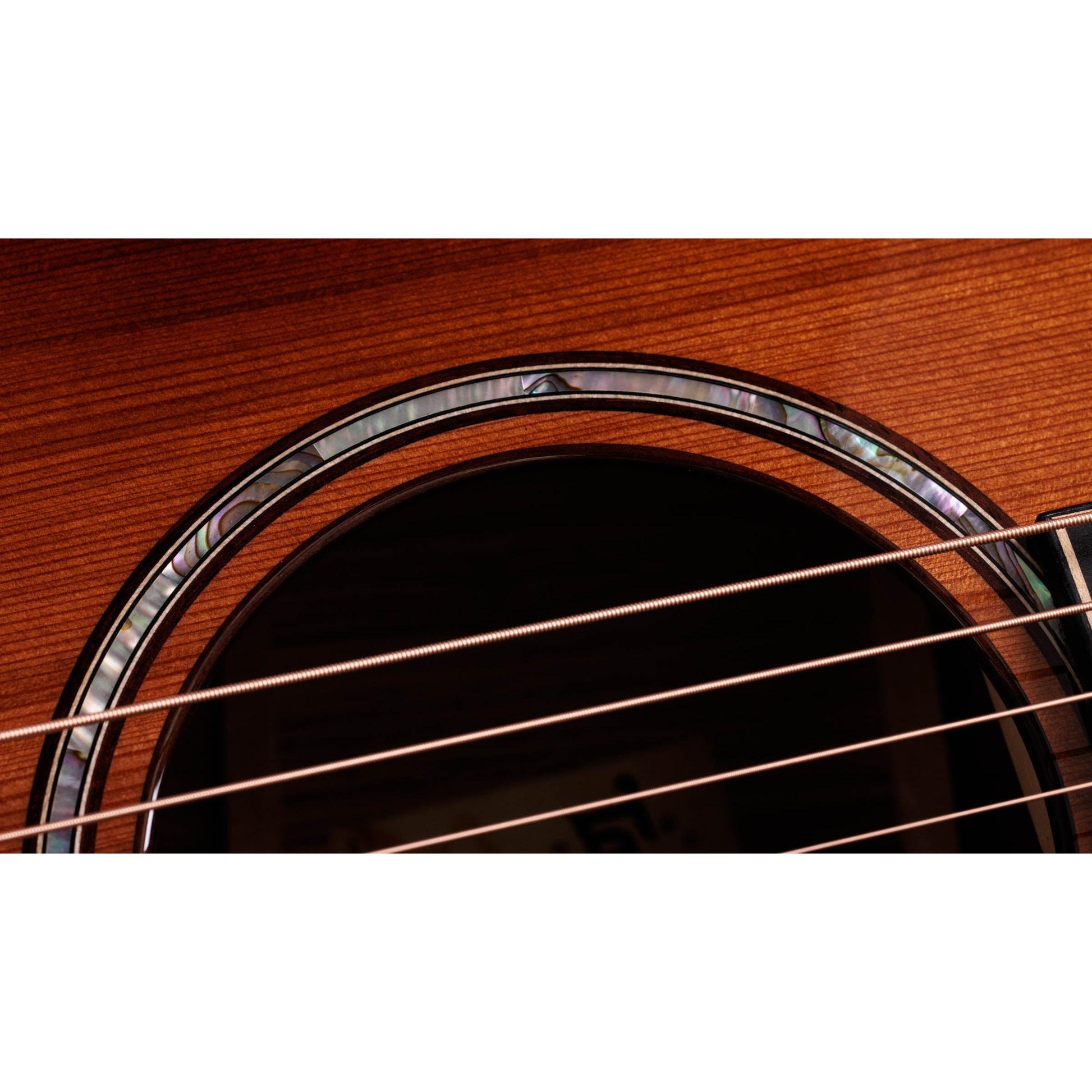Đàn Guitar Acoustic Taylor 814CE Honduran Rosewood / Sinker Redwood Builder's Edition - Grand Auditorium - Việt Music
