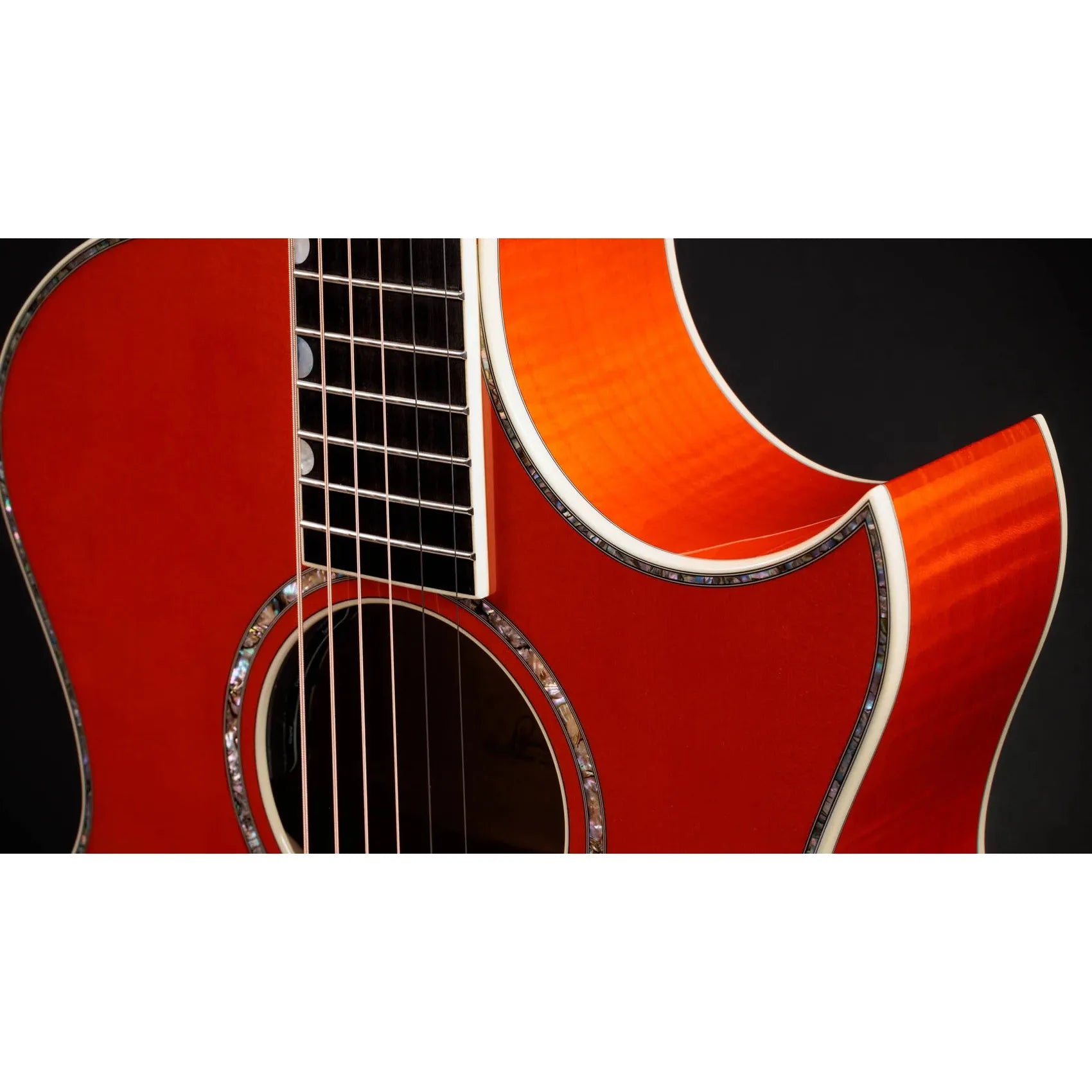 Đàn Guitar Acoustic Taylor Doyle Dykes Signature Model - Việt Music