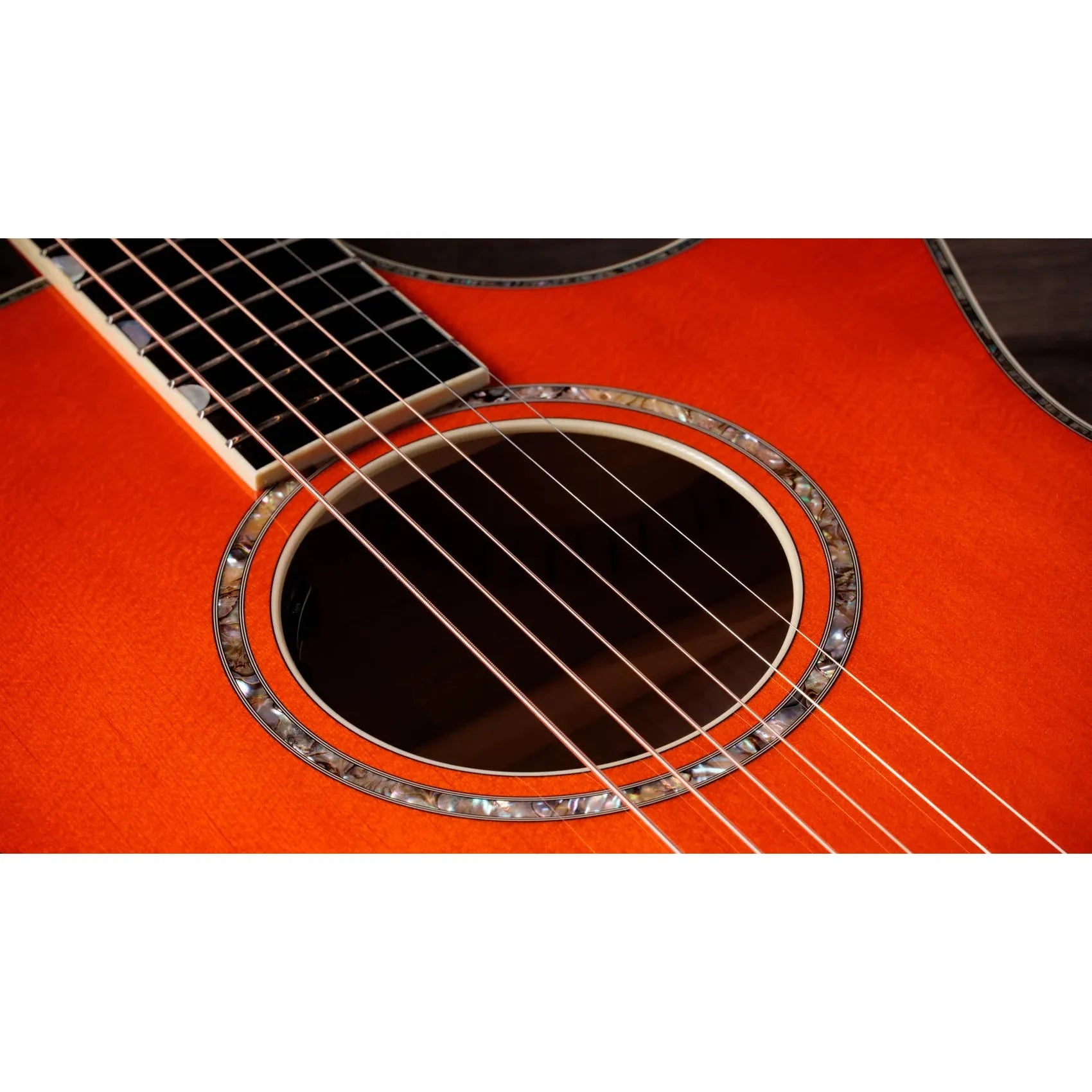 Đàn Guitar Acoustic Taylor Doyle Dykes Signature Model - Việt Music