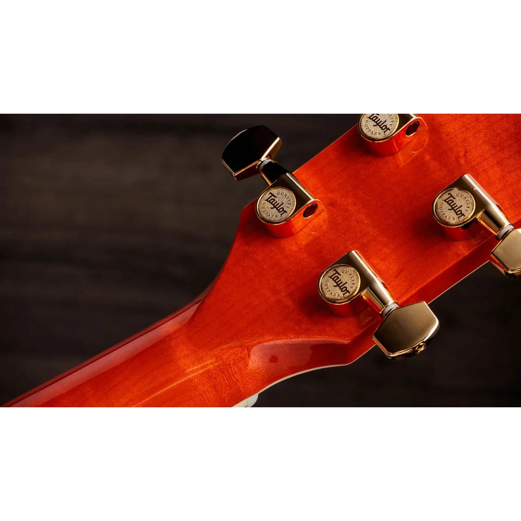 Đàn Guitar Acoustic Taylor Doyle Dykes Signature Model - Việt Music