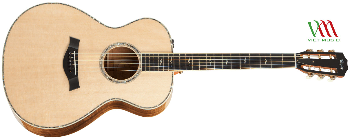 Bộ Sưu Tập Những Cây Đàn Guitar Quý Hiếm Đã Qua Sử Dụng