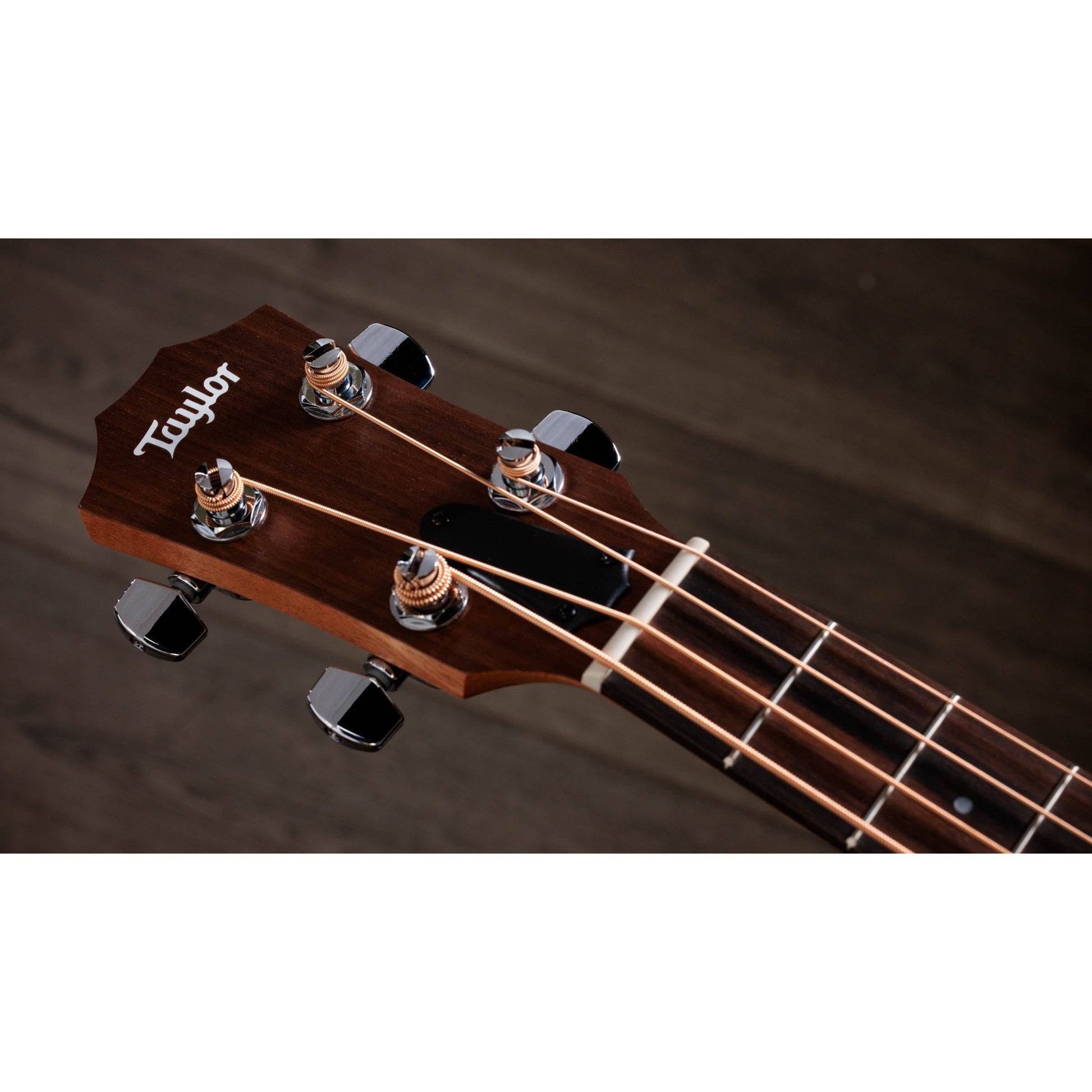 Đàn Guitar Bass Acoustic Taylor GS Mini-e - 4 Strings - Việt Music