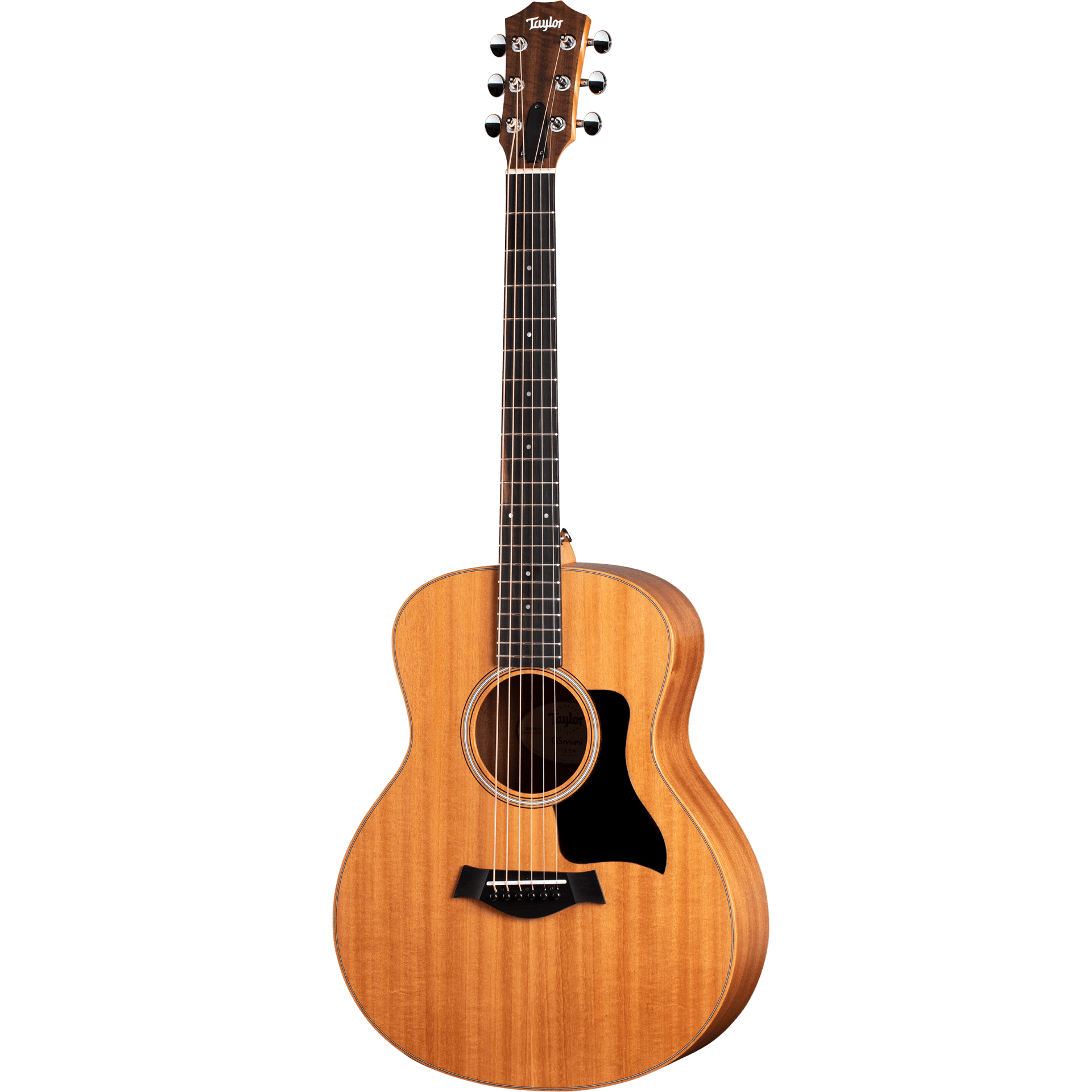 Đàn Guitar Acoustic Taylor GS Mini-E Mahogany - Việt Music