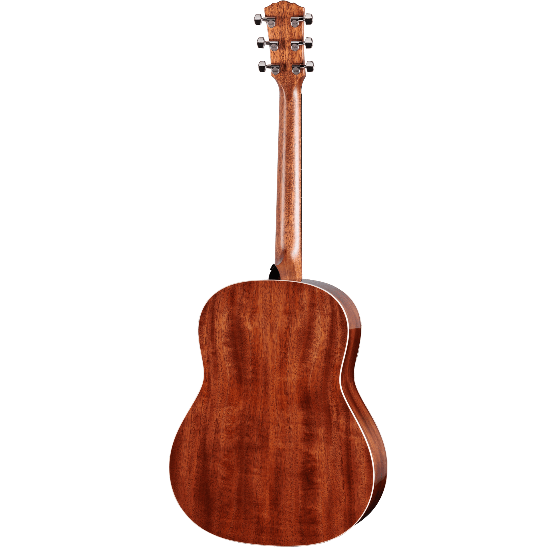Đàn Guitar Taylor Gold Label 517e - Việt Music
