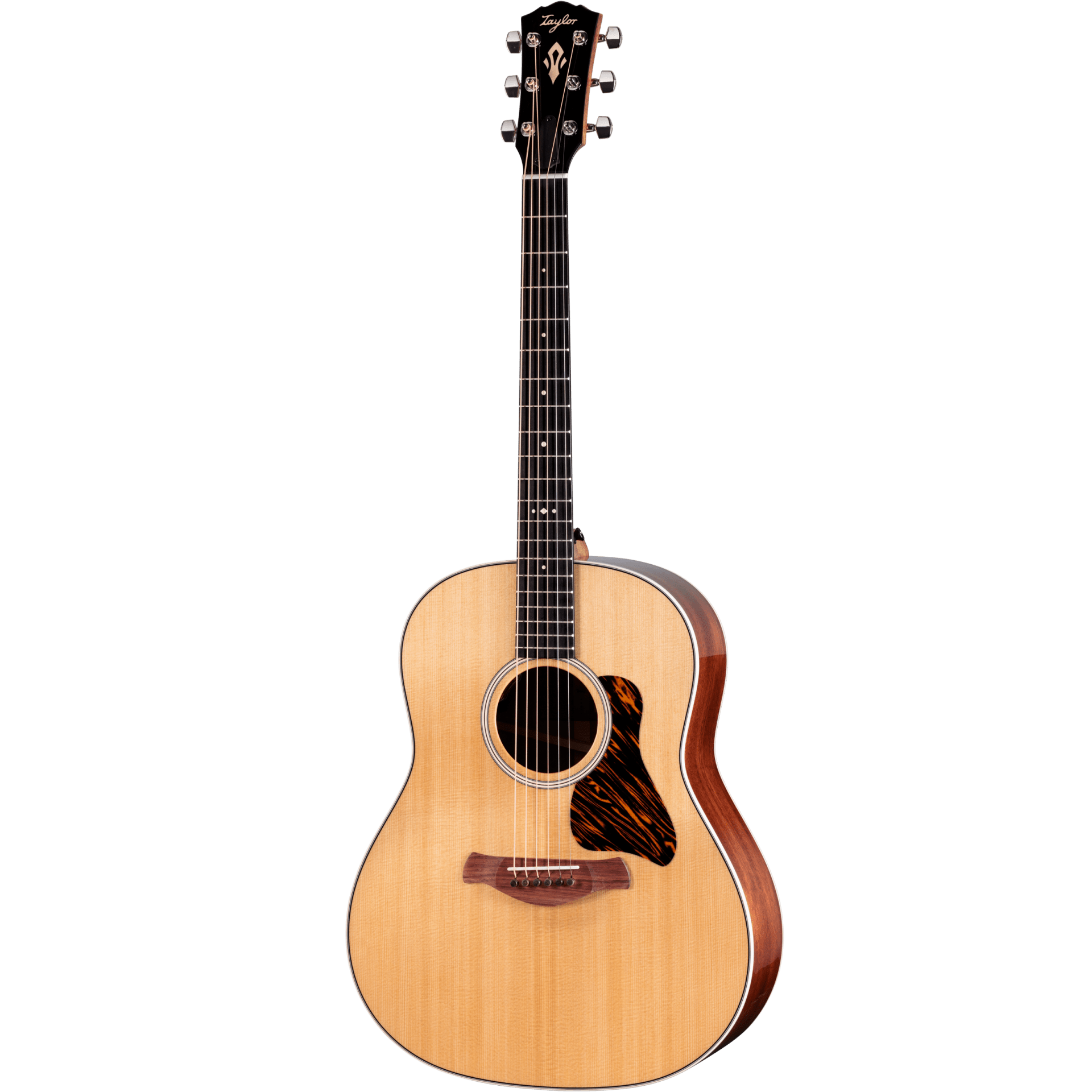 Đàn Guitar Taylor Gold Label 517e - Việt Music