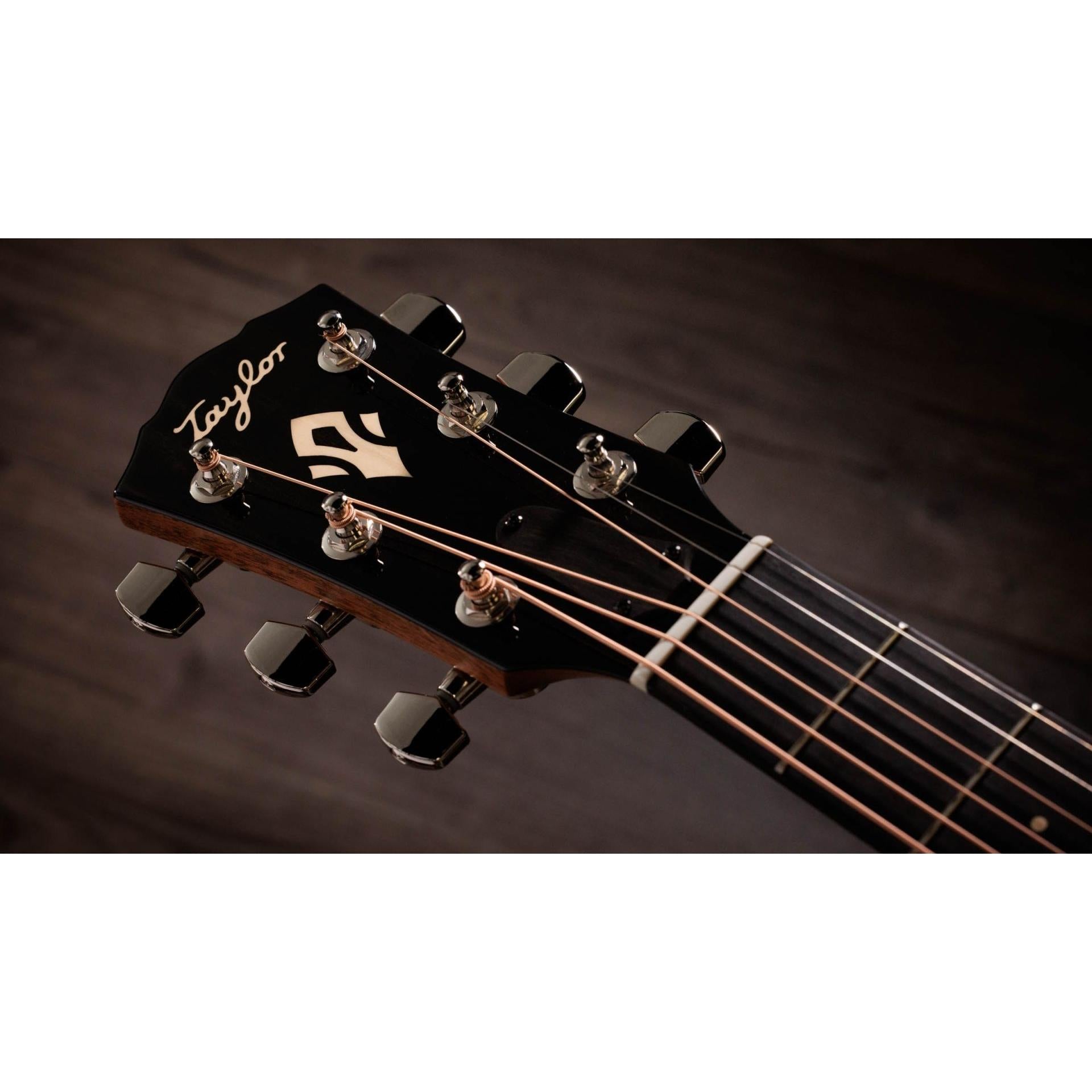 Đàn Guitar Taylor Gold Label 517e - Việt Music